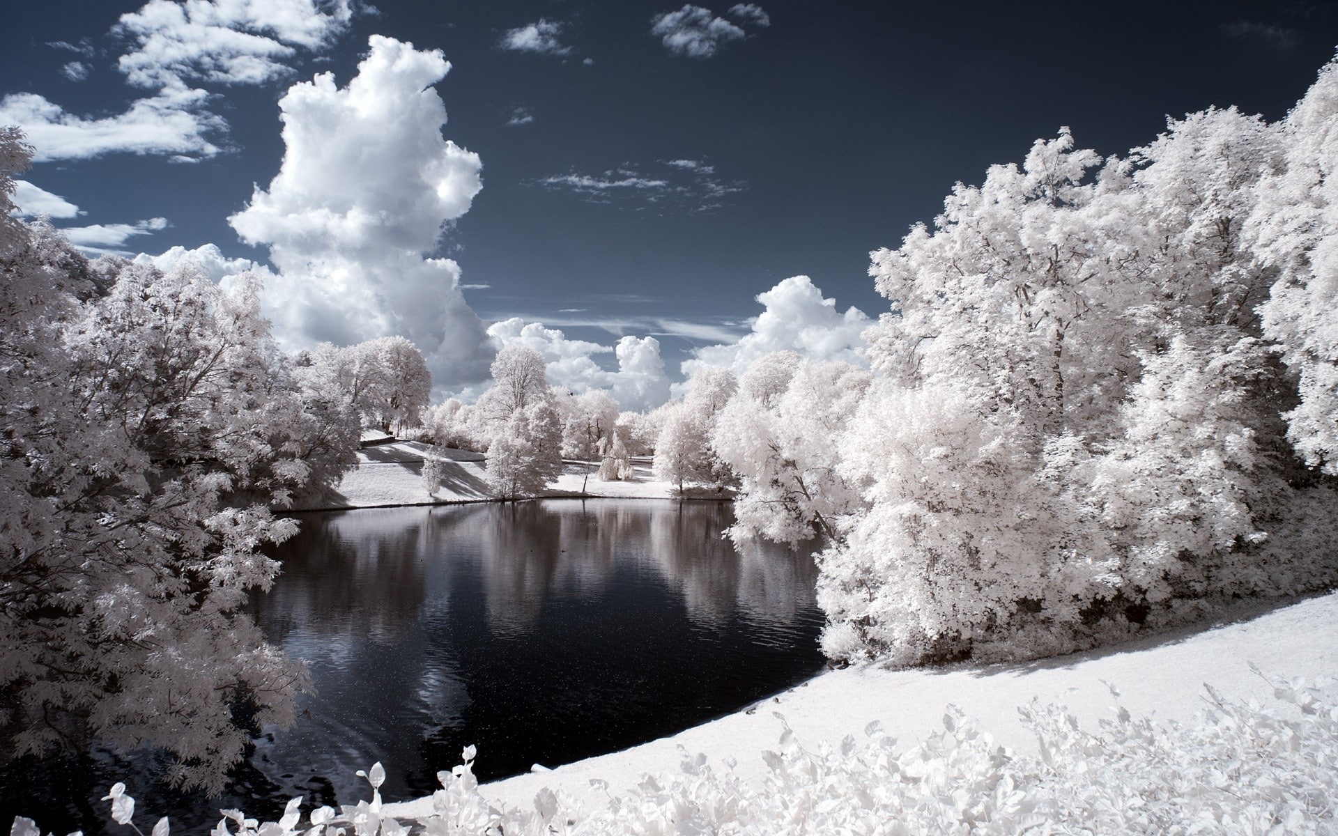 1080P, infrared, nature, landscape, lake, trees, HD Wallpaper