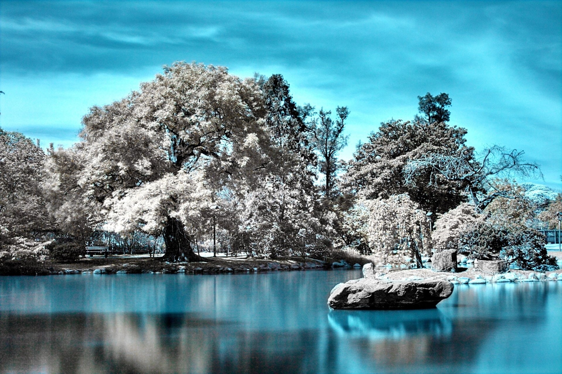1080P, Infrared, Photography, HD Wallpaper