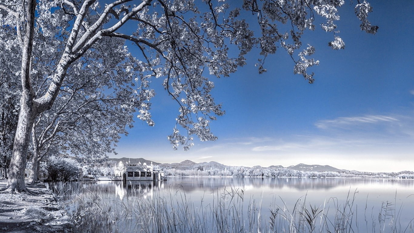 infrared, house, nature, hd, 720P, tree, lake, HD Wallpaper