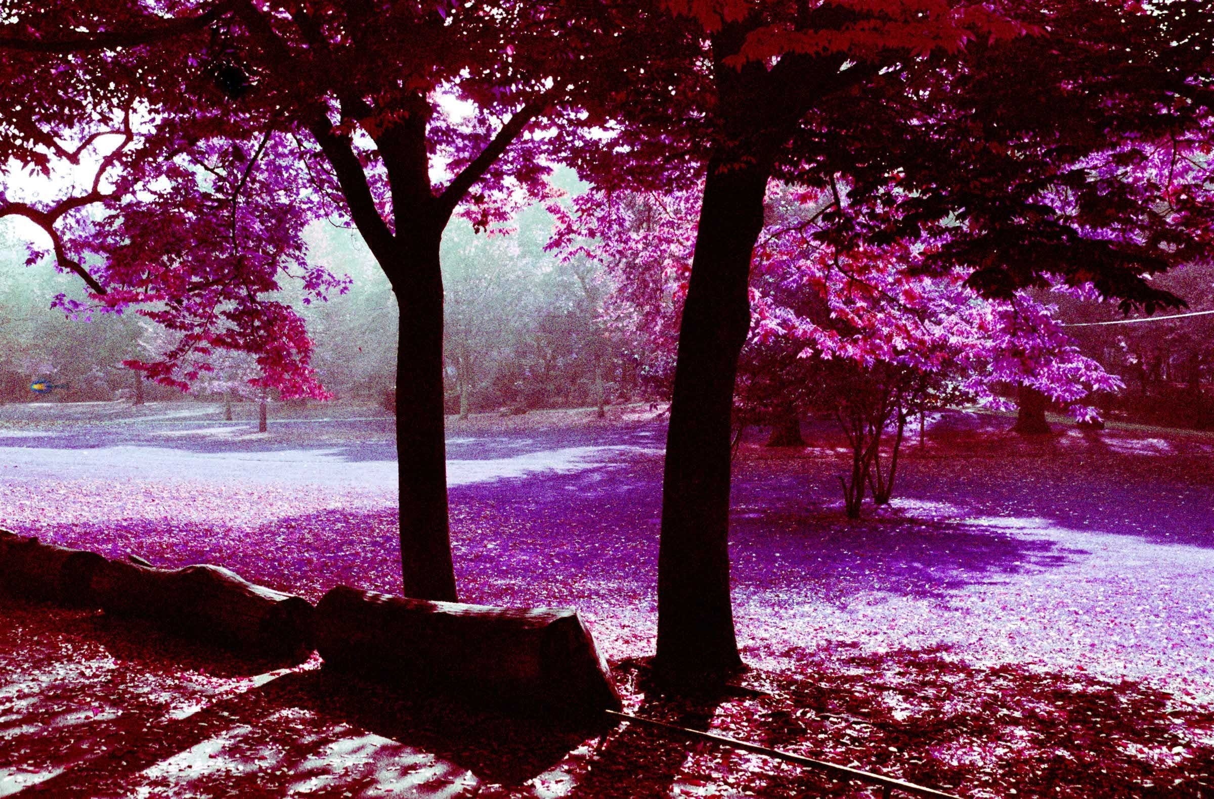 infrared, 1080P, HD Wallpaper