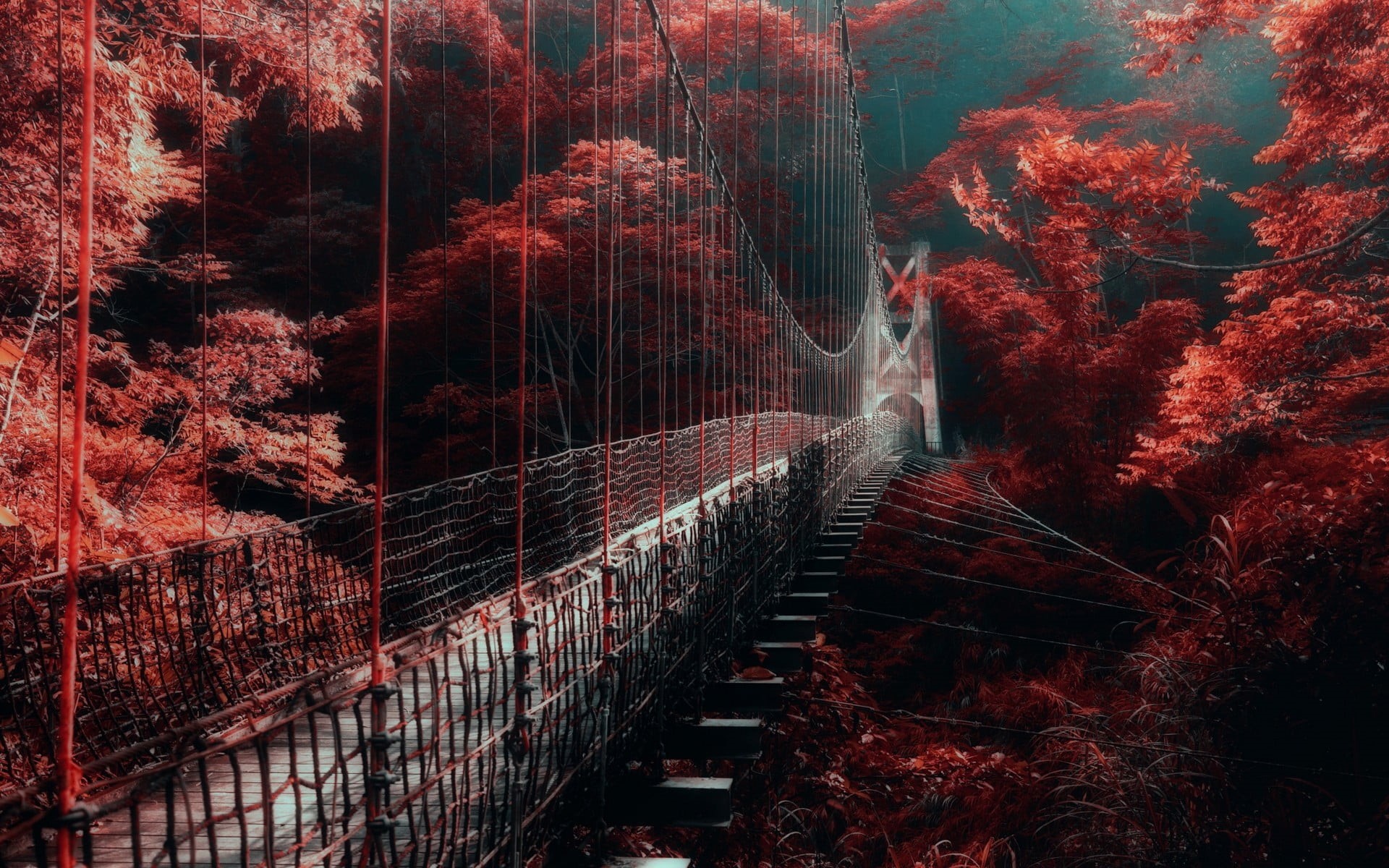 trees, red, day, transportation, connection, land, beauty in nature, autumn, forest, mist, architecture, growth, tranquility, tree, walkway, bridge, landscape, HD Wallpaper