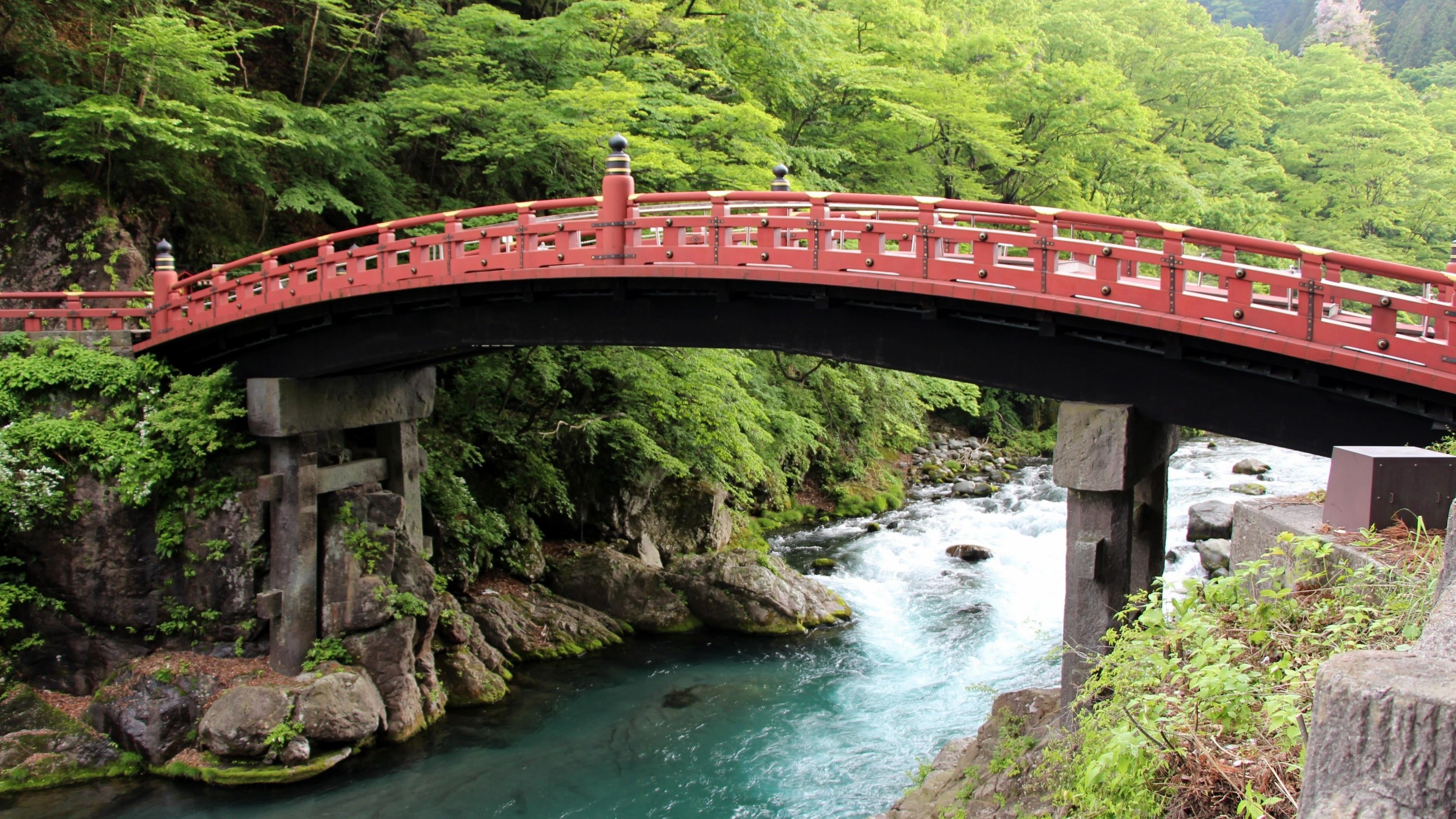 tree, flowing water, bridge - man made structure, runnel, forest, plant, transportation, day, creek, architecture, built structure, flowing, national park, HD Wallpaper