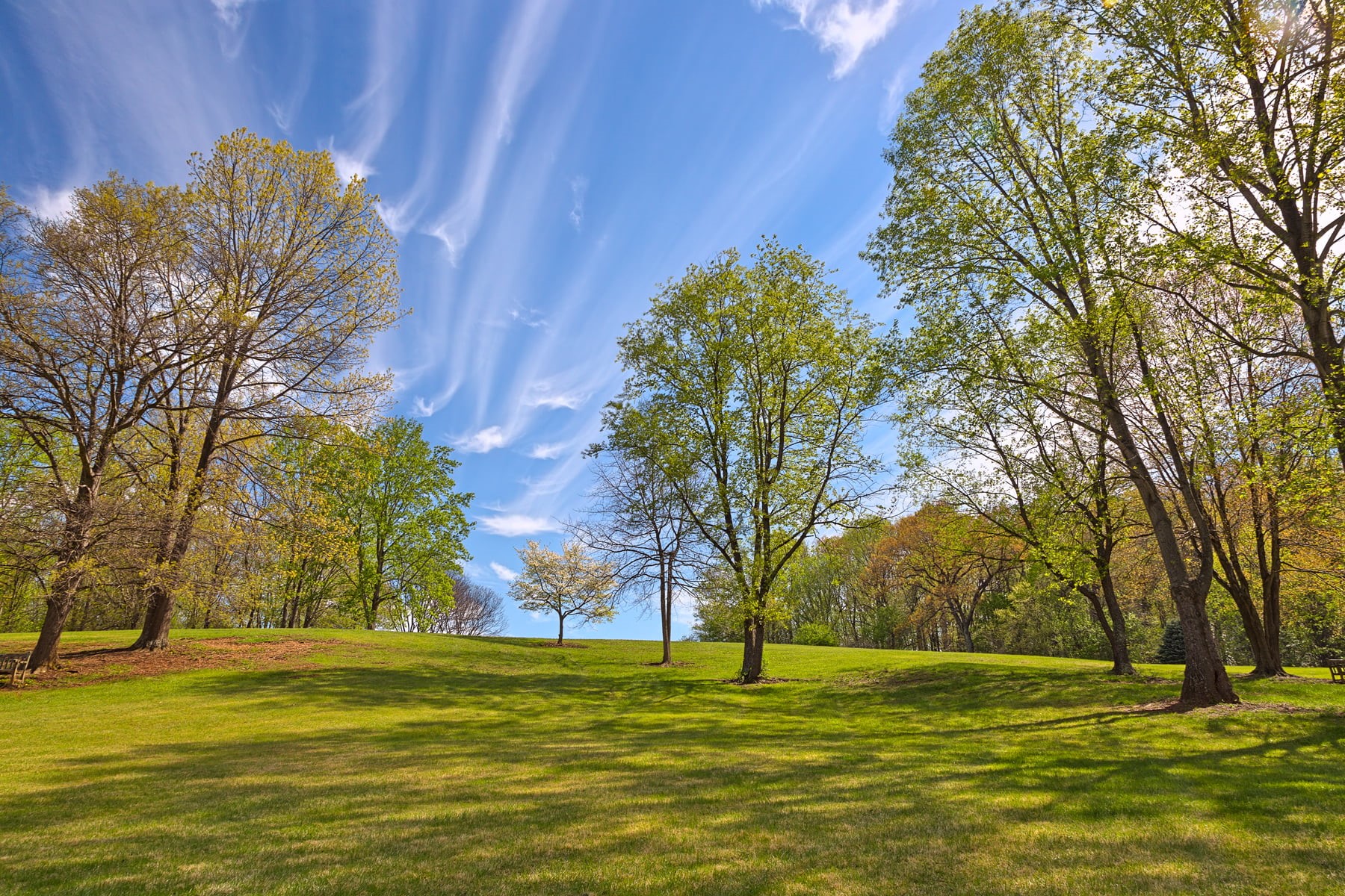 outside, maroon, natural, brown, foliage, sky, calm, background, 720P, touristic, HDR, time, clouds, garden, scene, outdoor, trees, usa, picture, spring  season, HD Wallpaper