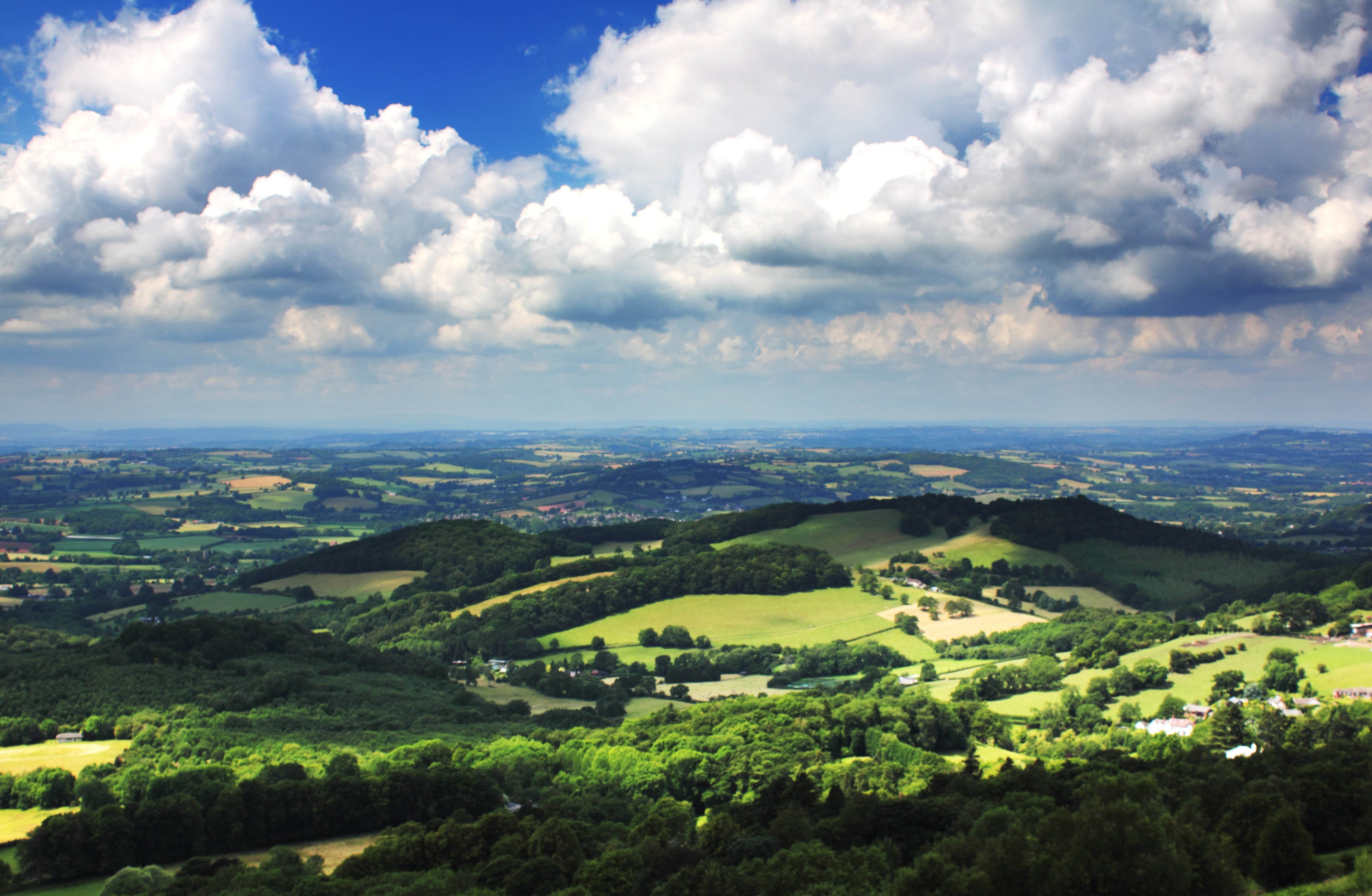 footpath, beauty in nature, tranquil scene, uk, cloud - Sky, green, worcestershire, covered, forest, woodland, day, hill, summer, green Color, grass, path, HD Wallpaper