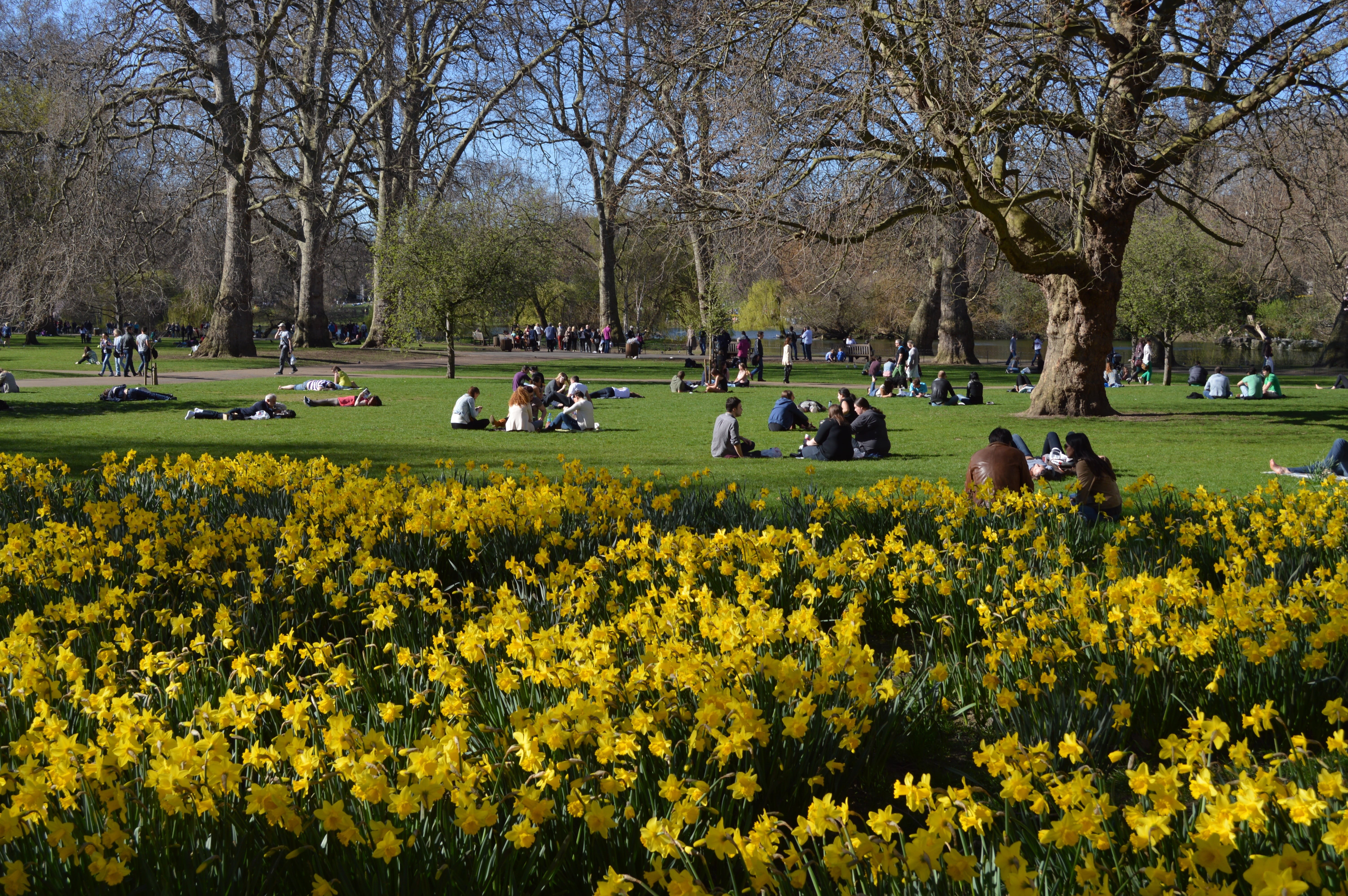 spring, group of people, sightseeing, sights, cityscape, kingdom, united, famous, park - man made space, history, grass, garden, british, westminster, st, HD Wallpaper