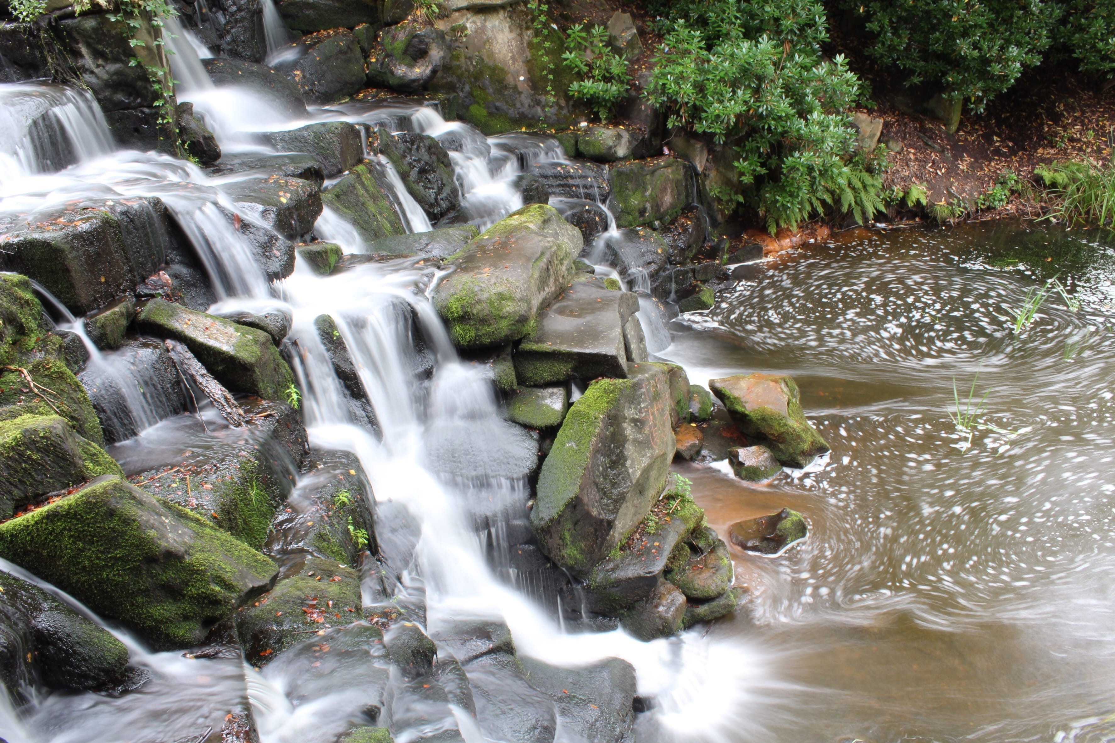 old, yellow, autumn, botany, day, Rocks, fall leaves background, cascade, harvest, flowing water, outdoors, wild, Nature, decoration, october, wet, leaves, HD Wallpaper