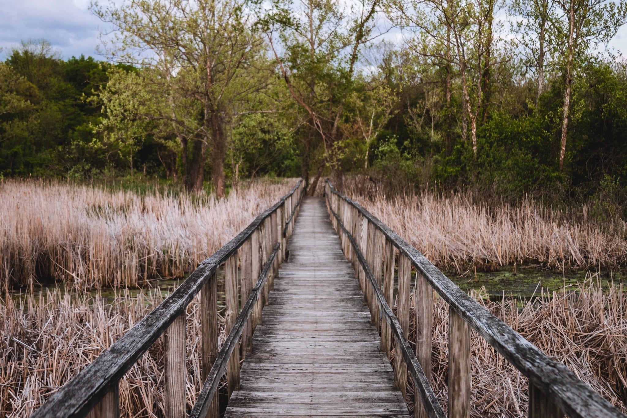 dock, park, uncover, tranquility, trail, landscape, find, path, brown, outdoor, road, season, diminishing perspective, tree, journey, land, way, rural, HD Wallpaper