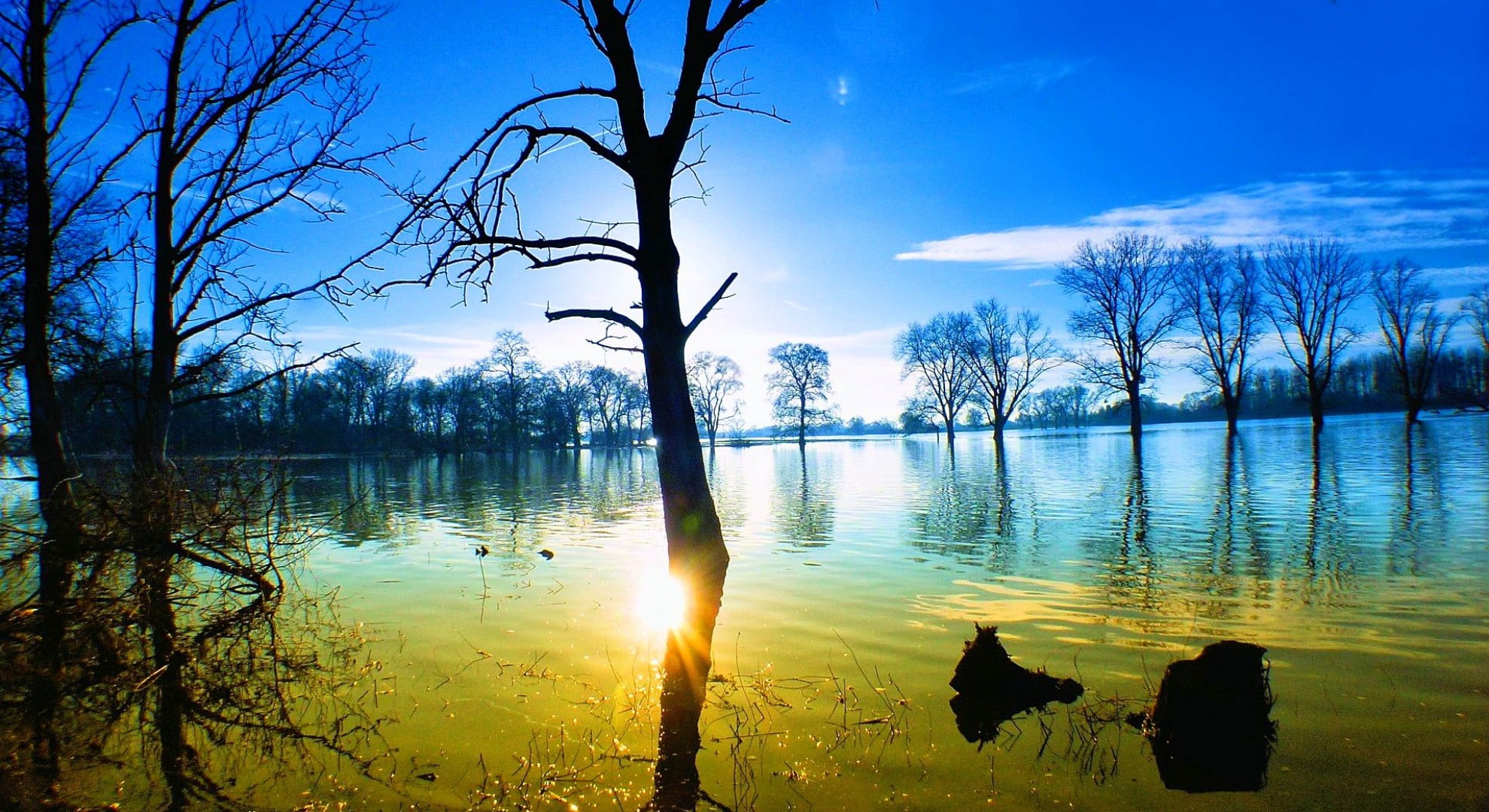 reflection, tranquil scene, sunlight, scenics - nature, outdoors, nature, lens flare, tree, trees, idyllic, bare tree, water, 1080P, beauty in nature, HD Wallpaper