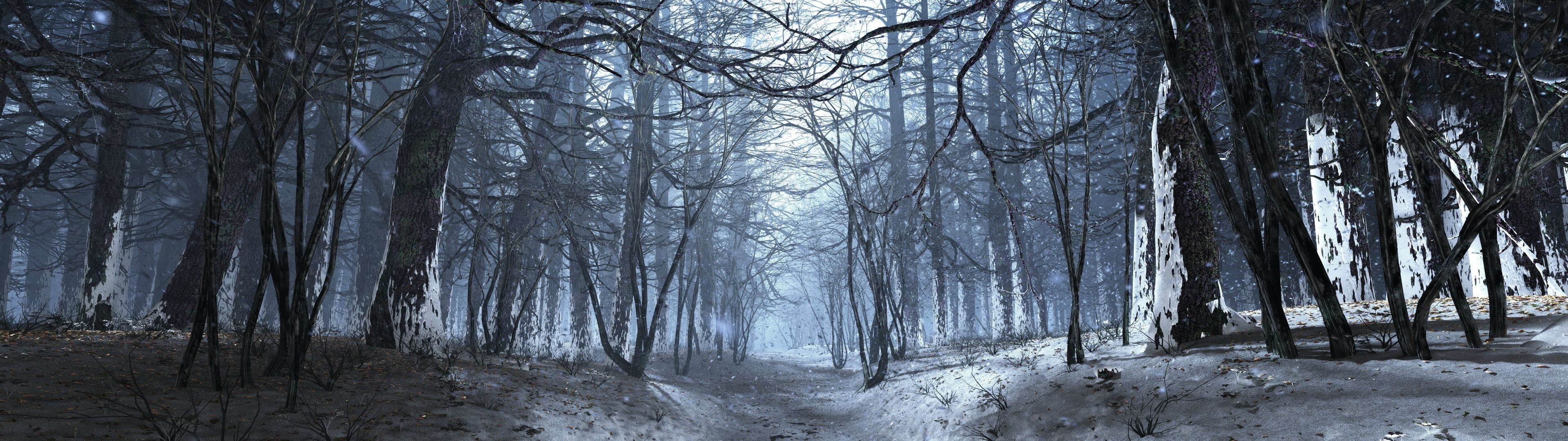 nature, tranquility, no people, multiple display, winter, bare tree, 4K, landscape, snow, tranquil scene, tree, environment, tree trunk, woodland, leafless, HD Wallpaper