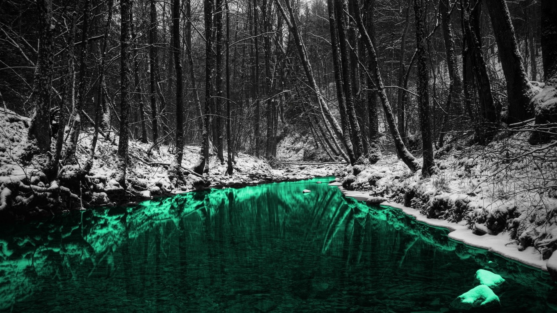 day, non-urban scene, ice, leafless, 1080P, forest, land, plant, trees, winter, lake, scenics - nature, water, tranquil scene, selective coloring, cold temperature, HD Wallpaper