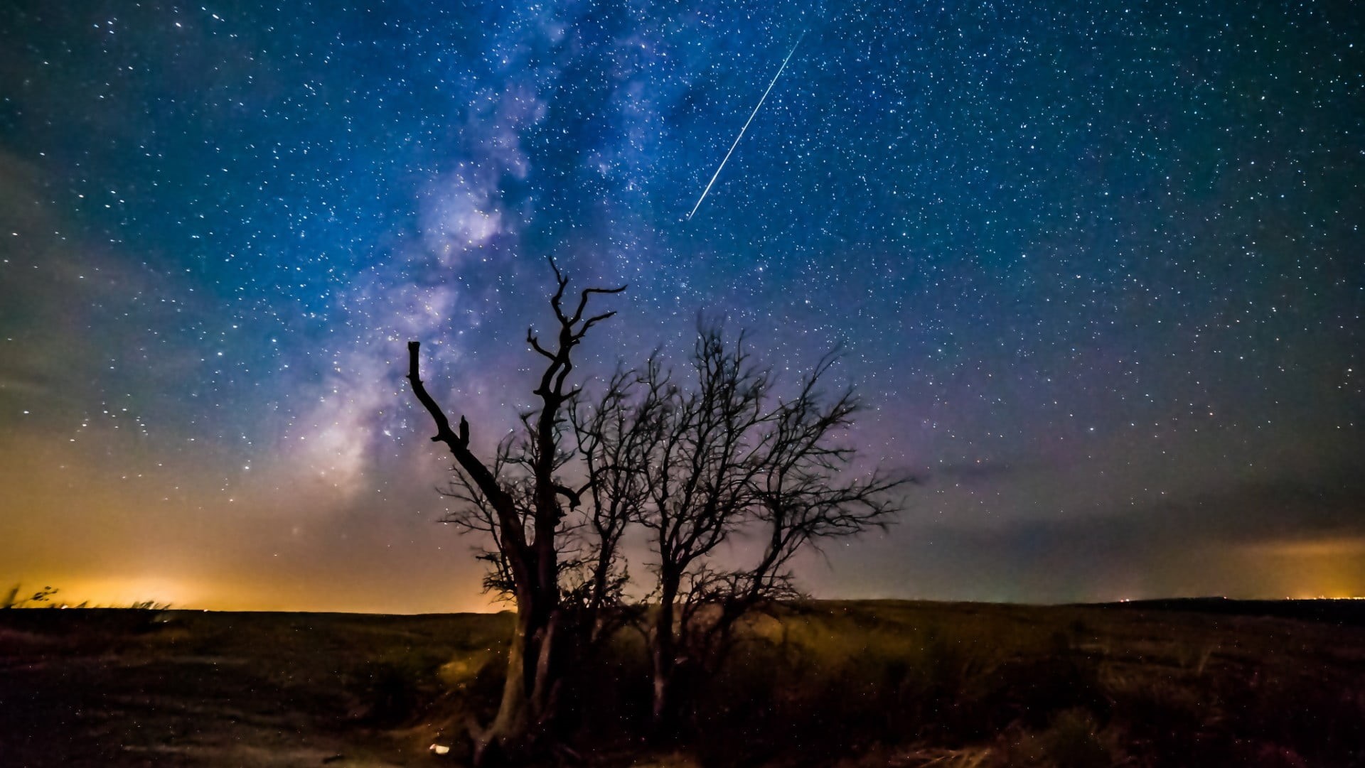 sky, leafless, galaxy, no people, tranquil scene, environment, cloud - sky, astronomy, night, landscape, star - space, outdoors, plant, tranquility, land, HD Wallpaper