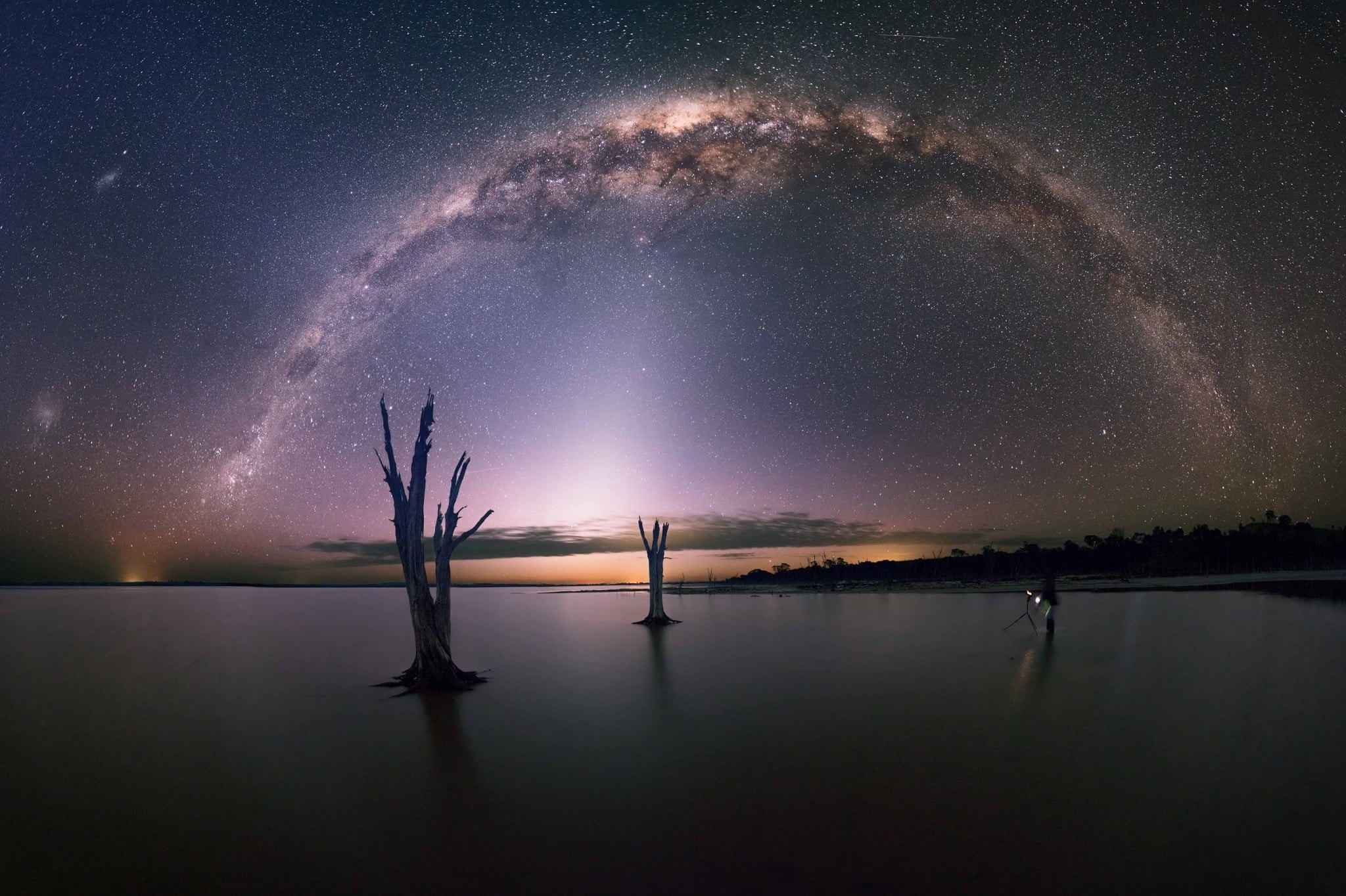 tree, tranquil scene, space, scenics - nature, waterfront, night, tranquility, reflection, Milky Way, no people, sky, 1080P, galaxy, star, leafless, beauty in nature, HD Wallpaper