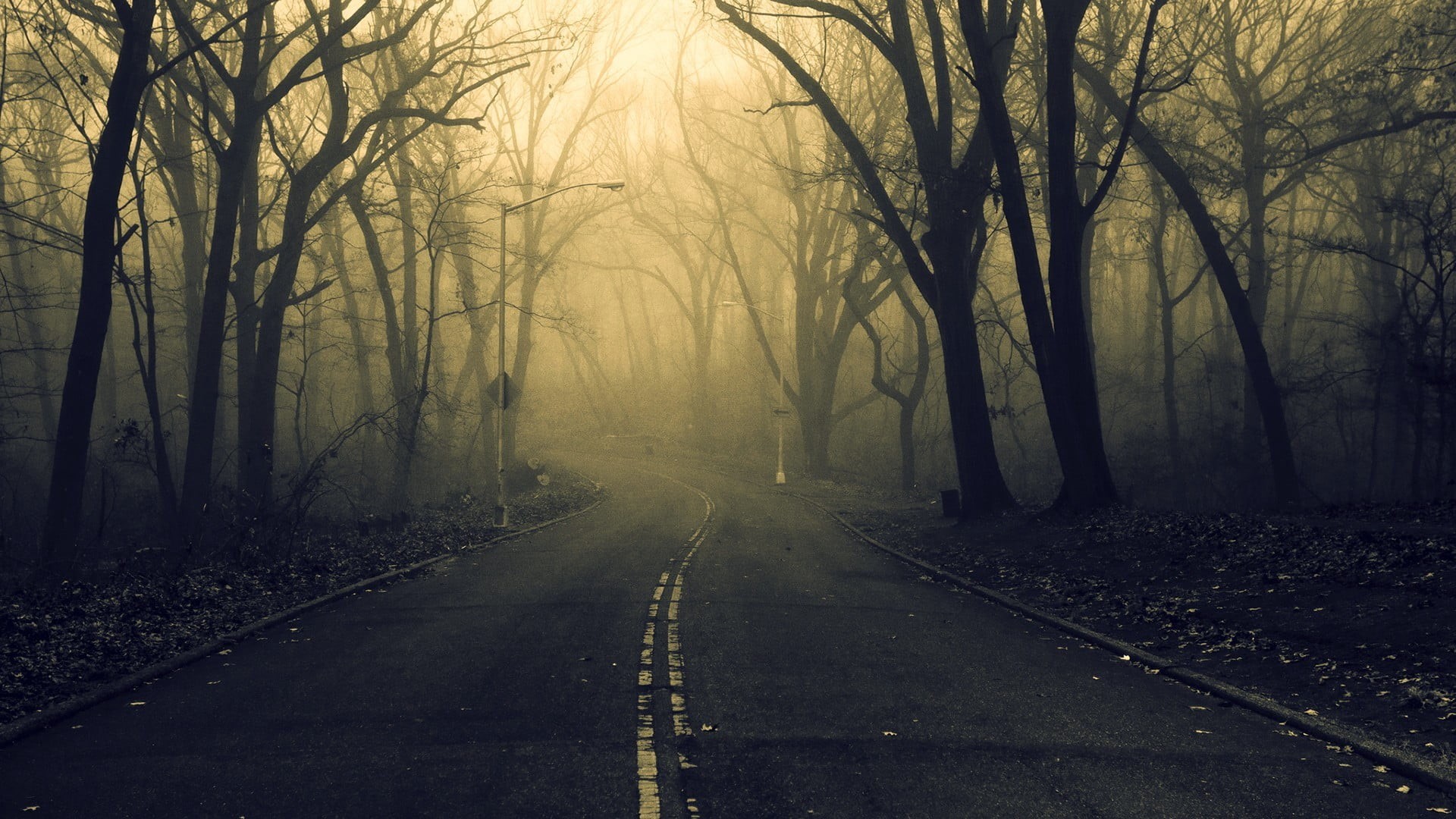 freeway, land, tranquil scene, diminishing perspective, 1080P, spooky, symbol, leafless, trees, sign, transportation, photography, no people, forest, road marking, HD Wallpaper