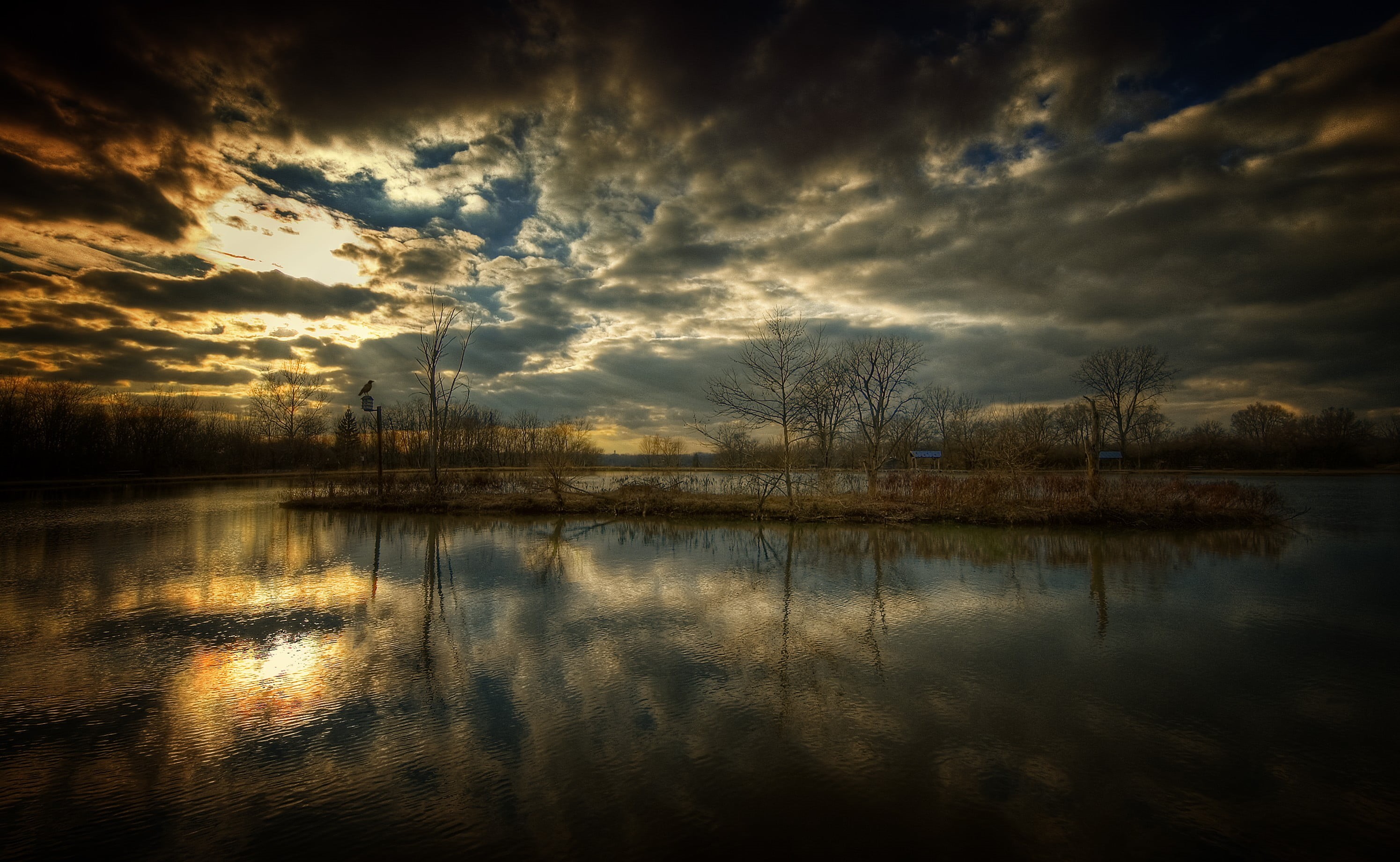 sunlight, cloudscape, fall, forest, scenics - nature, light - Natural Phenomenon, tree, tranquil Scene, waterfront, idyllic, tranquility, dramatic sky, HD Wallpaper