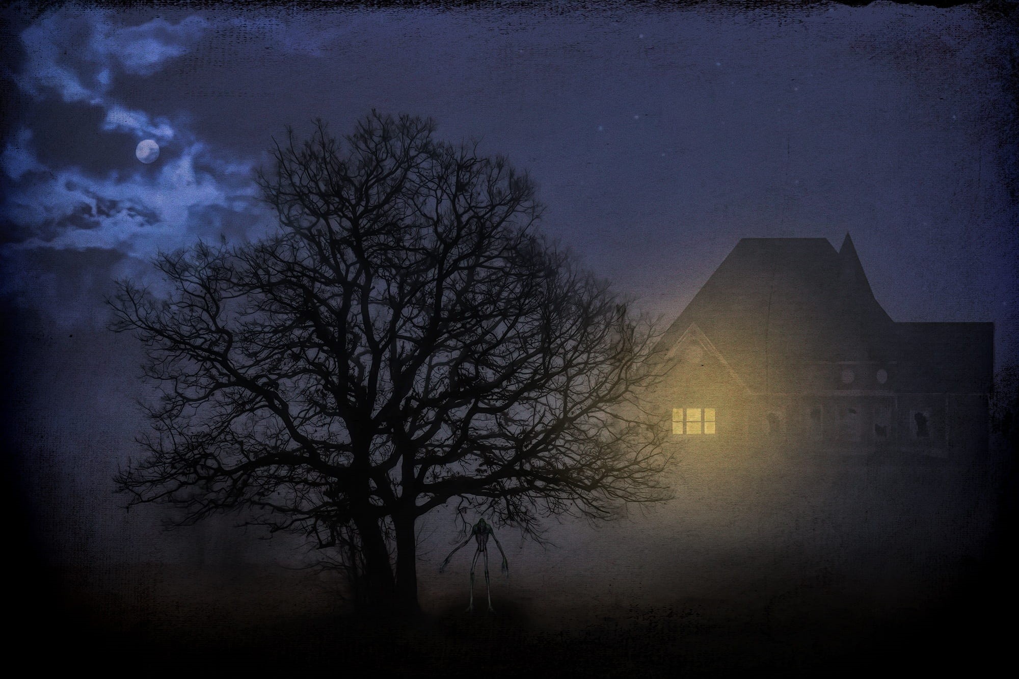 plant, silhouette, building exterior, scare, fantasy picture, monster, dream world, architecture, weird, ghost, fear, lighting, dark, outdoors, fantasy, HD Wallpaper
