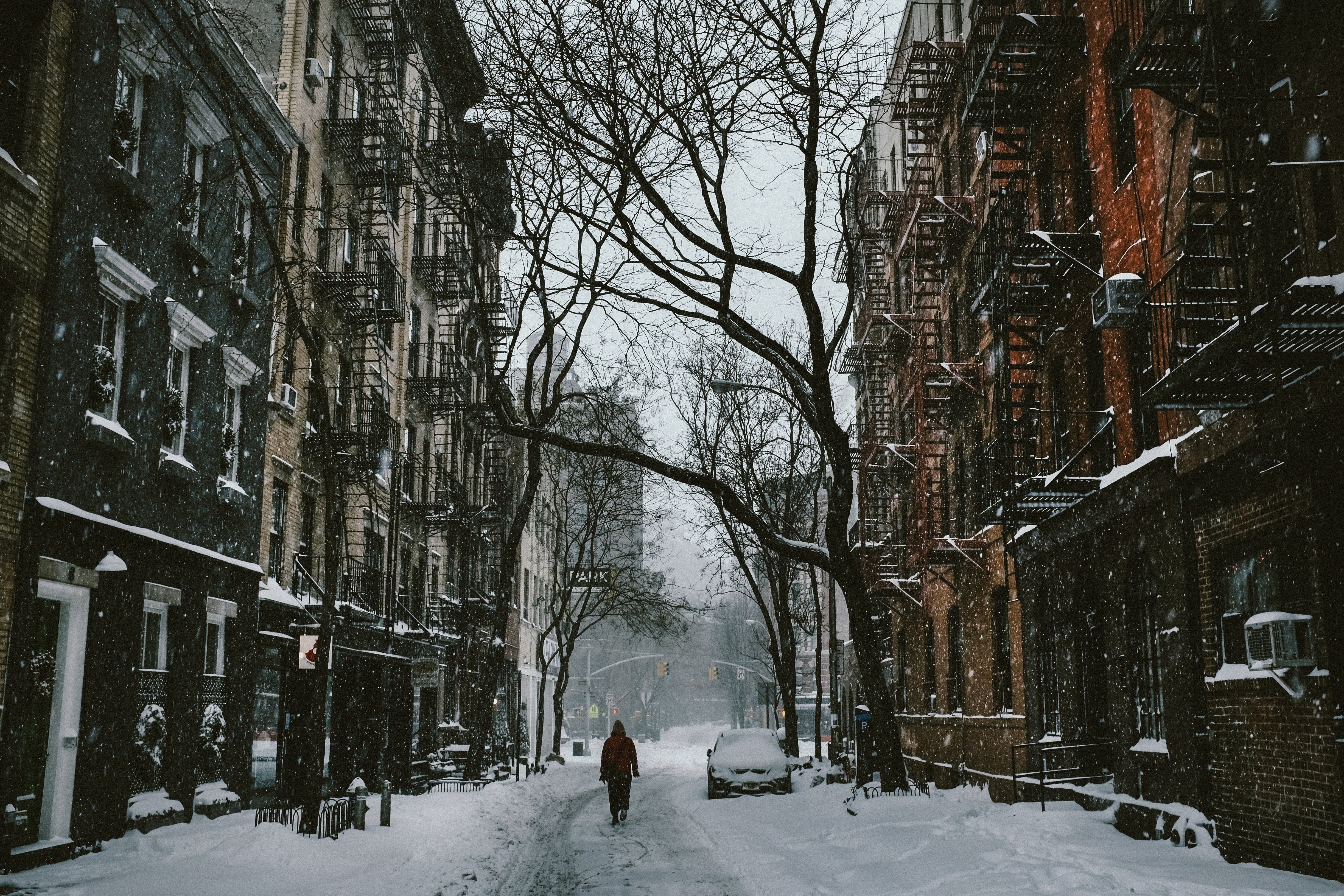 residential District, tree, plant, covering, leafless, real people, city, house, street, city Life, architecture, extreme weather, nature, 4K, town, season, HD Wallpaper