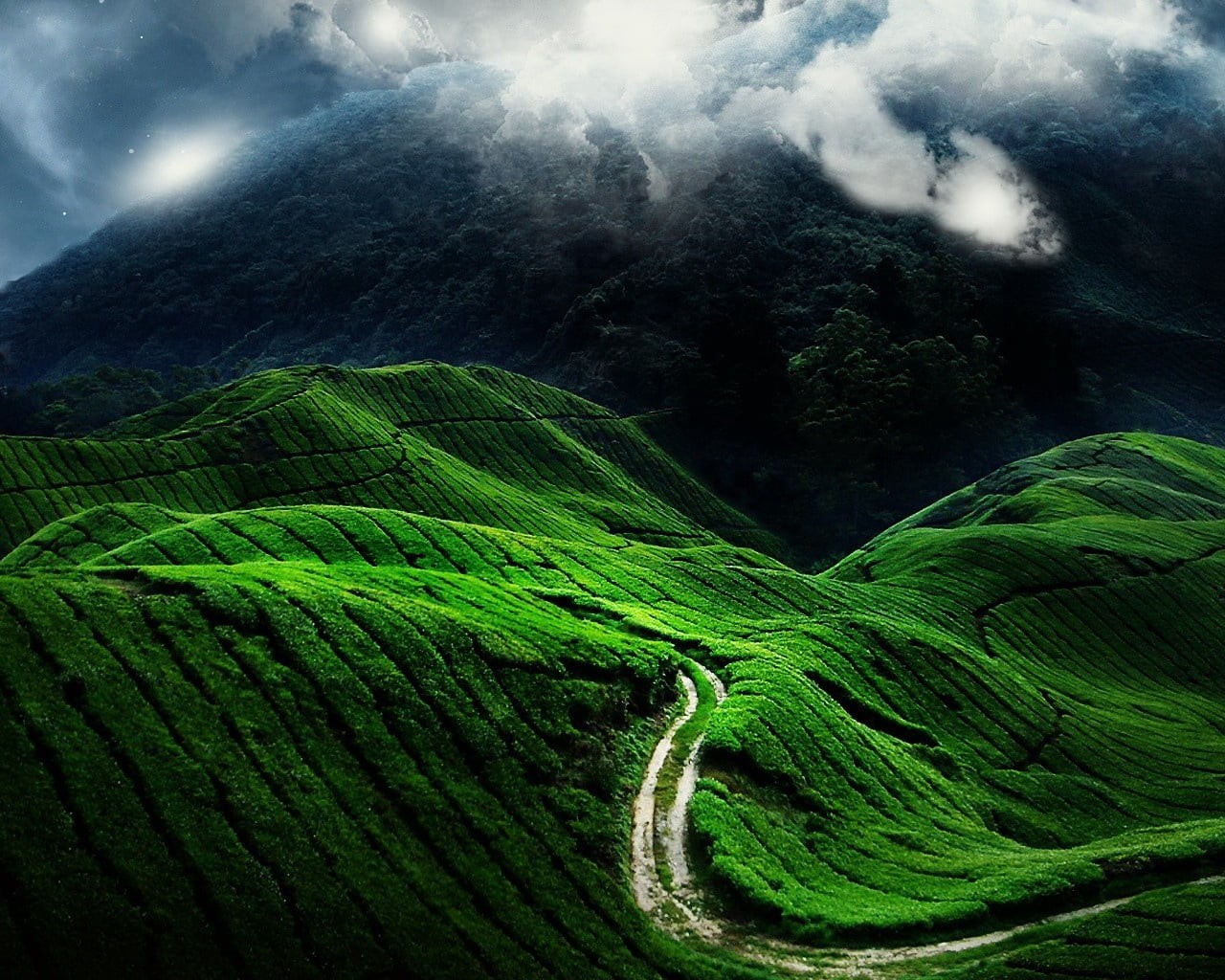 mountain Peak, morning, hill, 720P, growth, forest, no People, cultures, asia, scenics - nature, beauty In Nature, landscape, environment, road, landscaped, HD Wallpaper