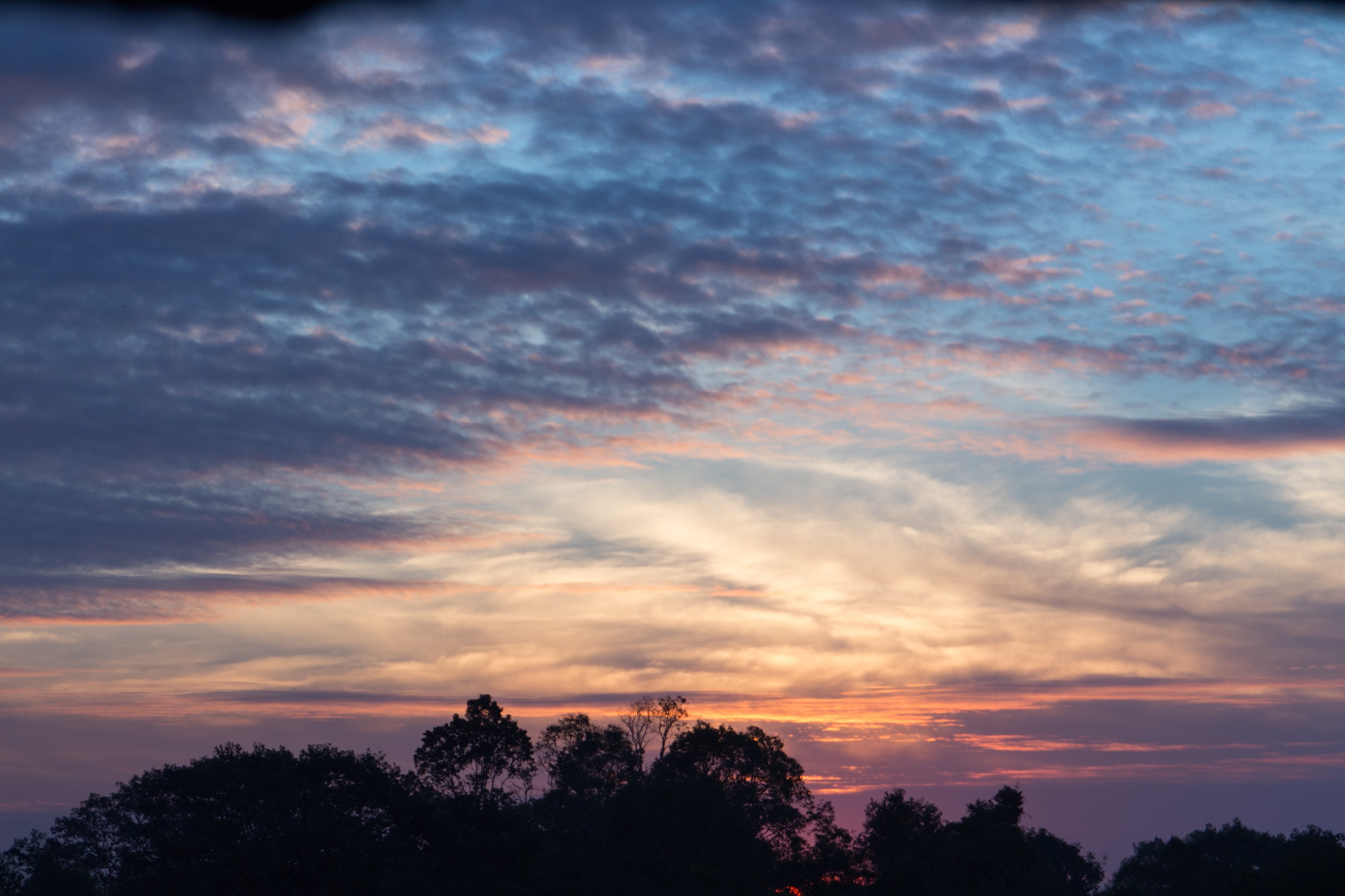 Cambodia, sunset, 4K, skyscape, purple sky, silhouette, HD Wallpaper