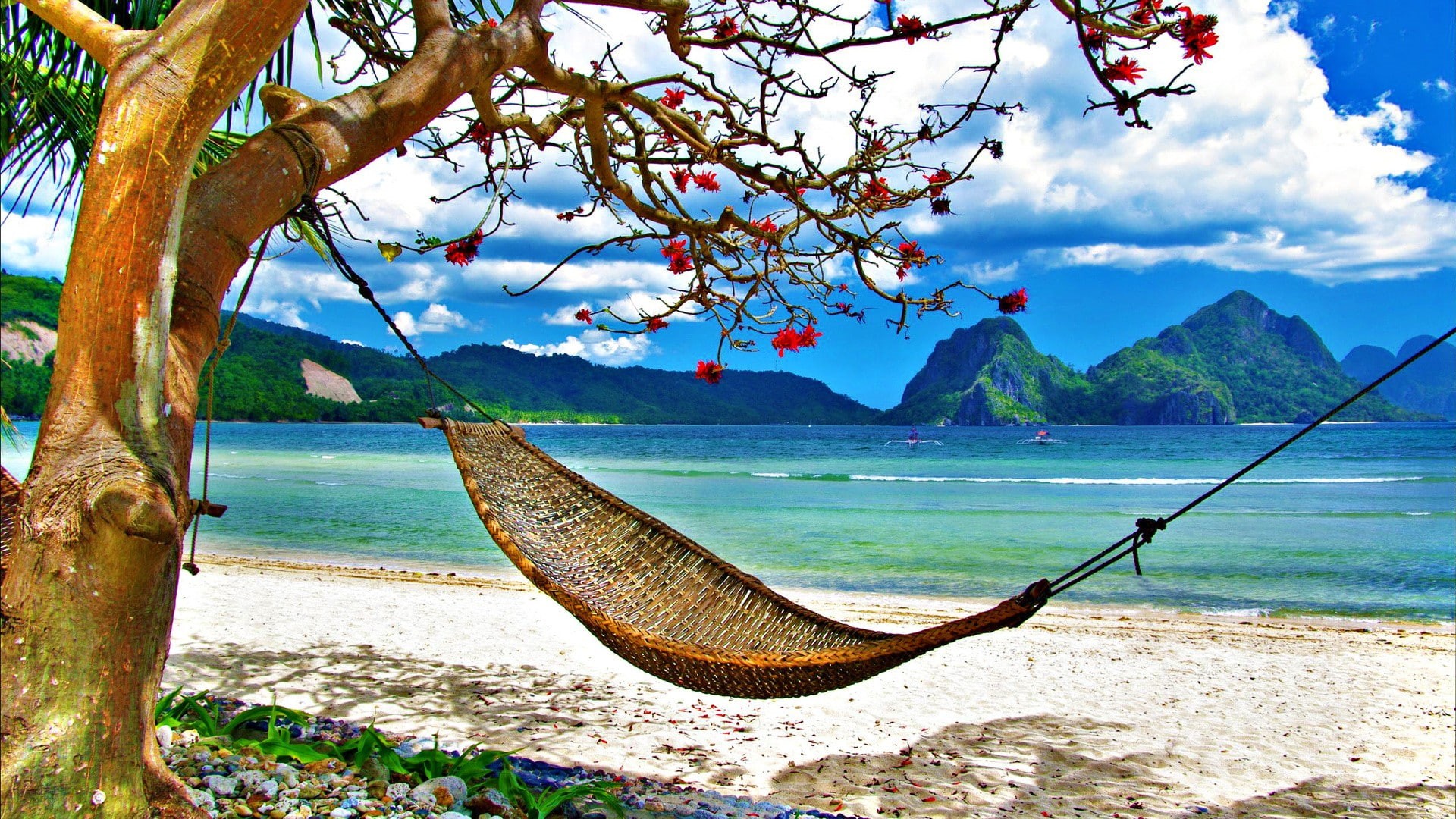 nature, trees, 1080P, beach, hammock, hd, tropical, ocean, HD Wallpaper