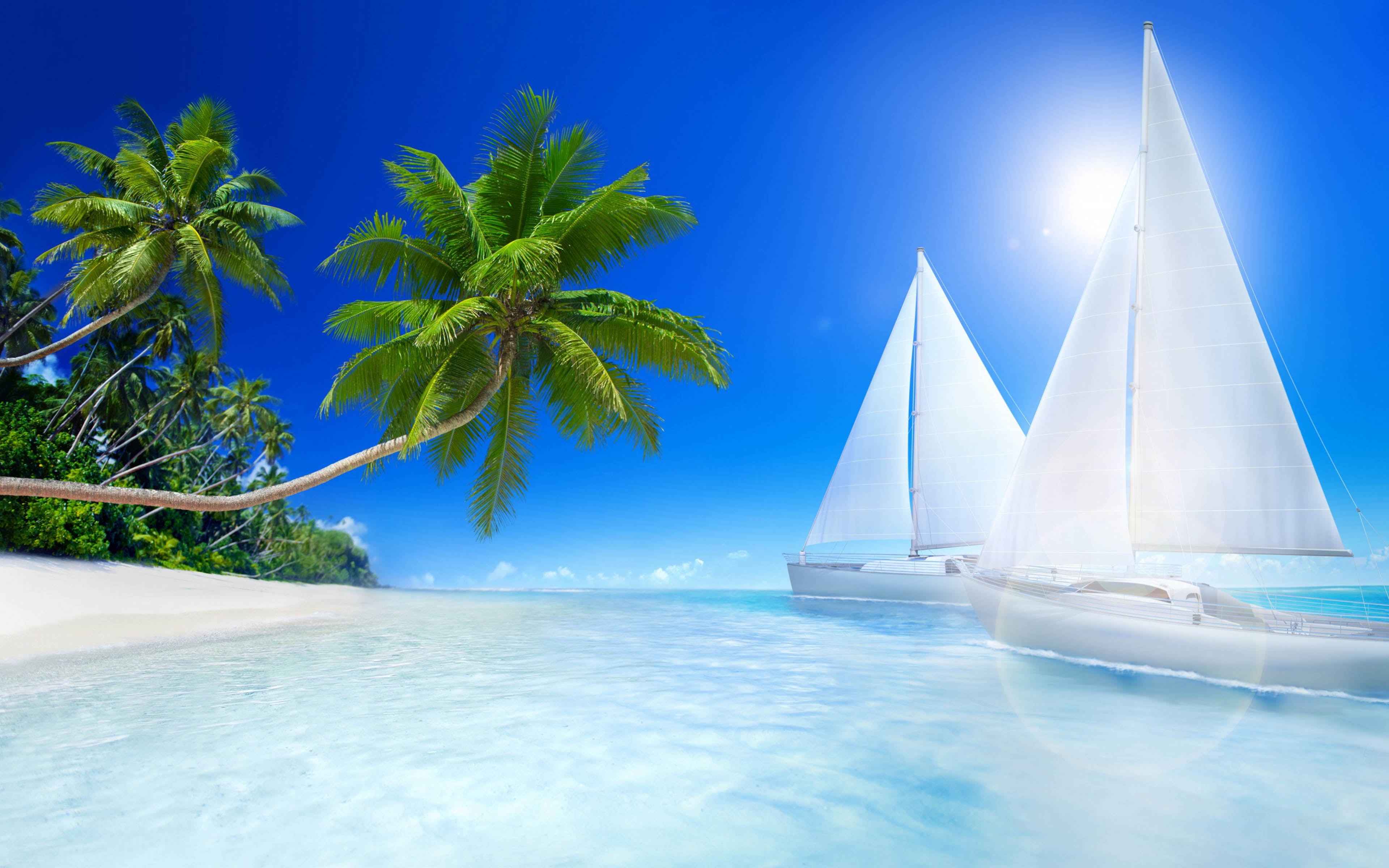 islands, ocean, palm tree, pool, vacations, tropical, land, tropical climate, travel, tree, beaches, transportation, outdoors, holiday, landscape, HD Wallpaper