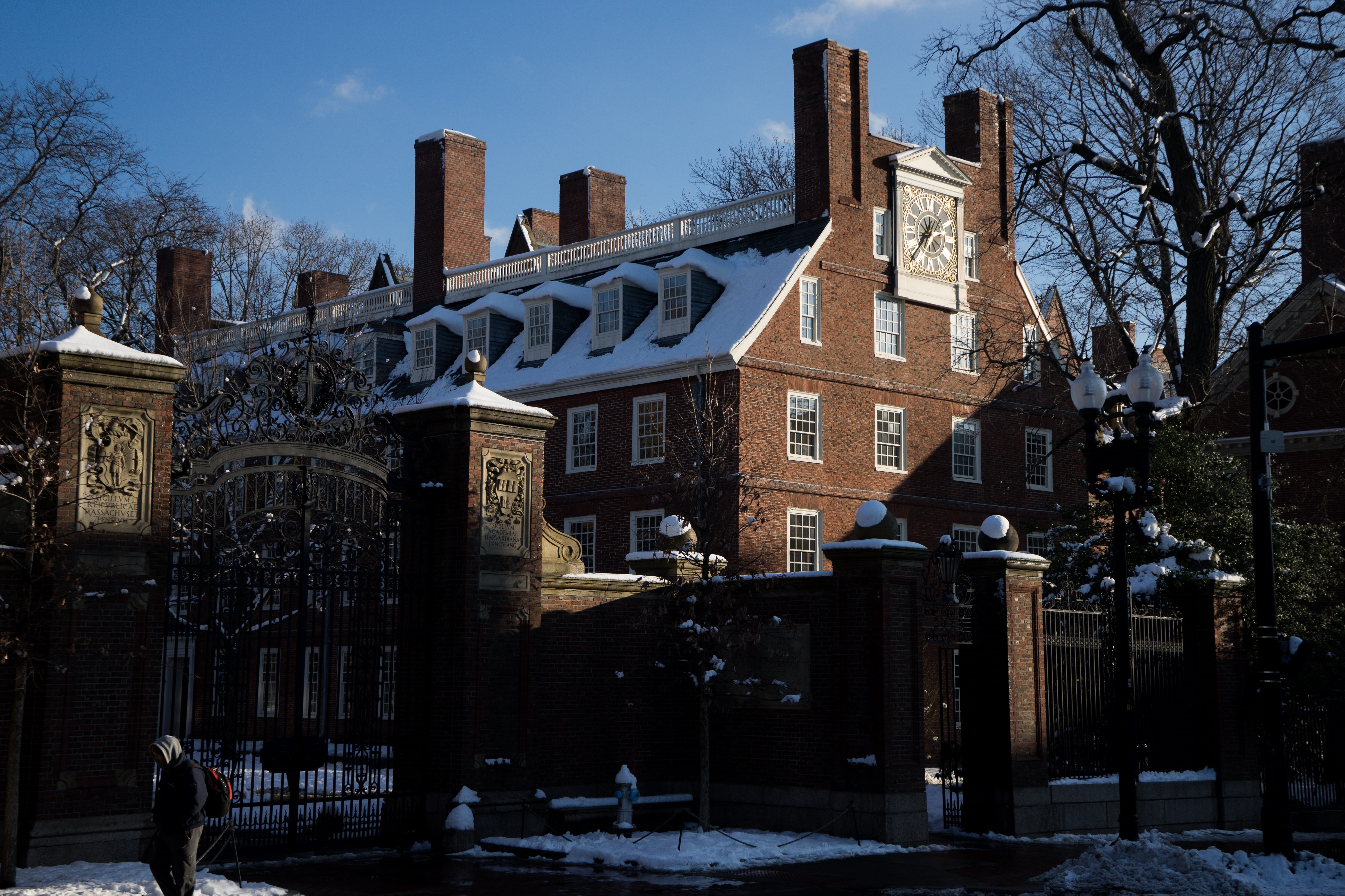 snow, tree, building exterior, sky, building, outdoors, bare tree, bricks, boston, explore, religion, skyscraper, cambridge, place of worship, architecture, HD Wallpaper