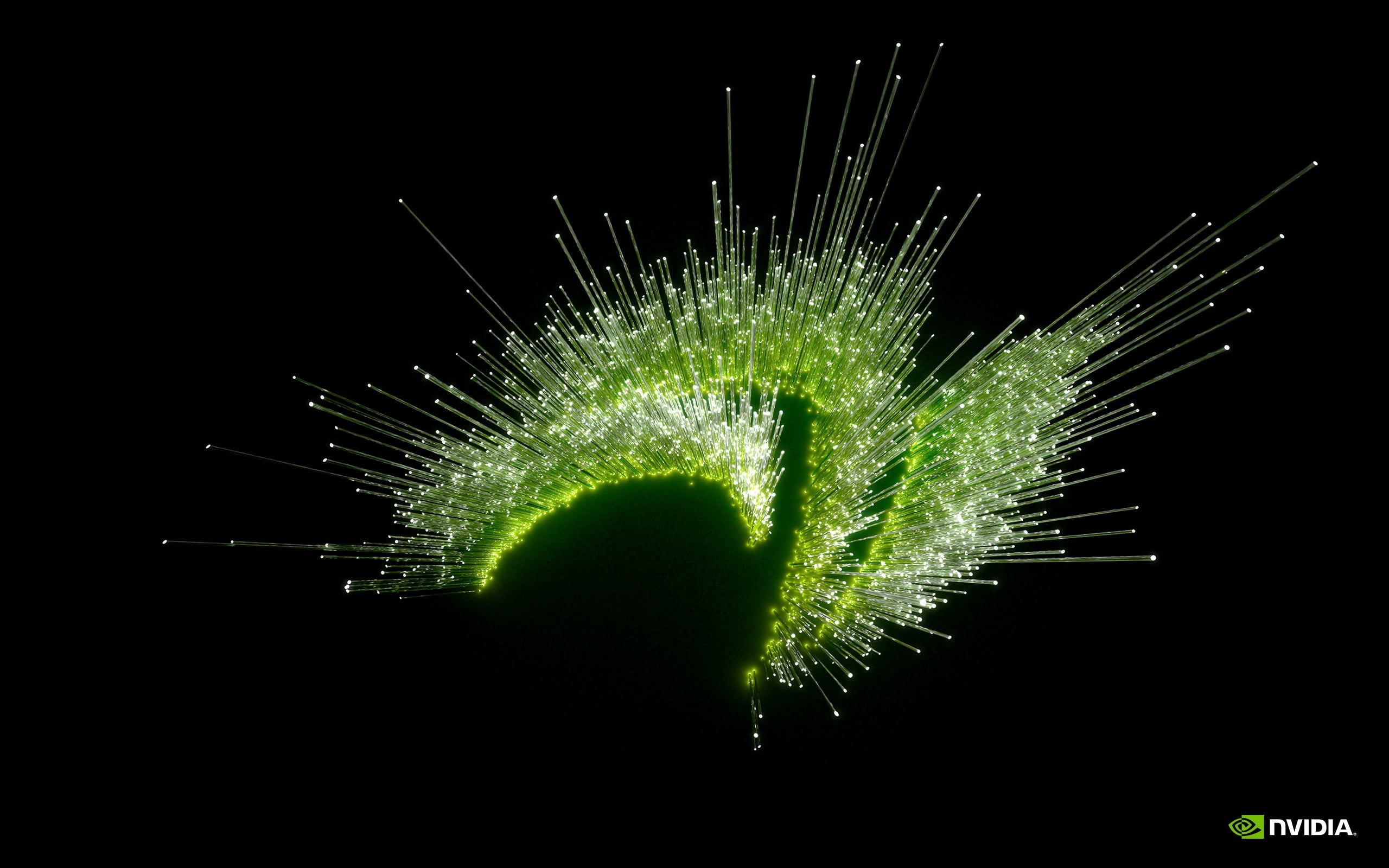  Optic fiber, light, no people, nature, GPUs, studio shot, beauty in nature, night, pattern, indoors, computer, motion, light - natural phenomenon, HD Wallpaper