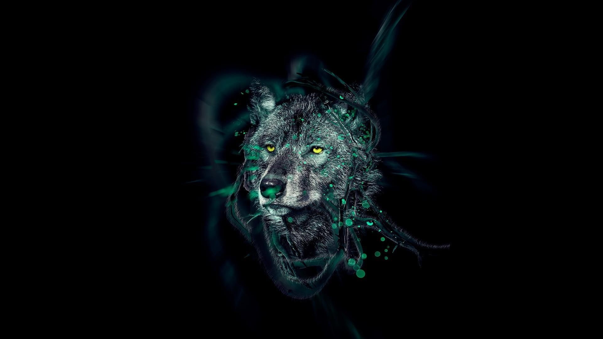digital art, wolf, 1080P, HD Wallpaper