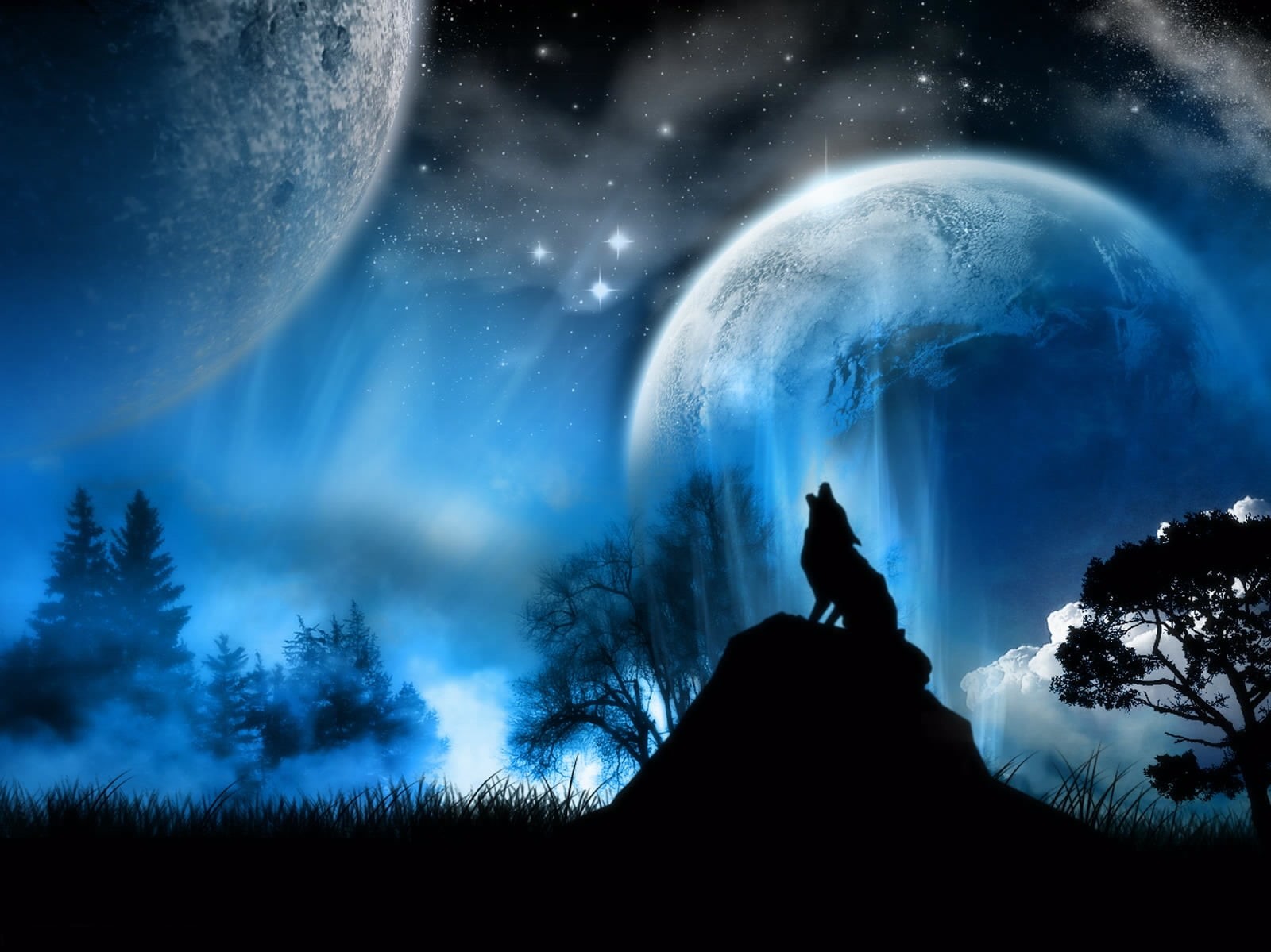 outdoors, blue, wolf, mountain, females, nature, back Lit, tree, night, scenics, black Color, exploration, people, moon, land, scenics - nature, HD Wallpaper