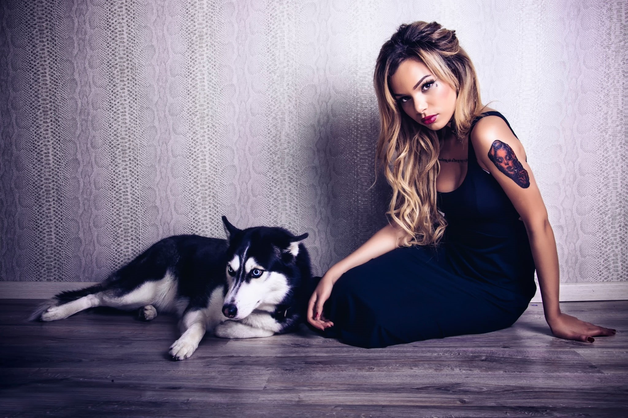 siberian, looking at camera, mammal, lifestyles, real people, young adult, hairstyle, teenager, blonde, women, dog, hair, model, sitting, husky, black dress, HD Wallpaper