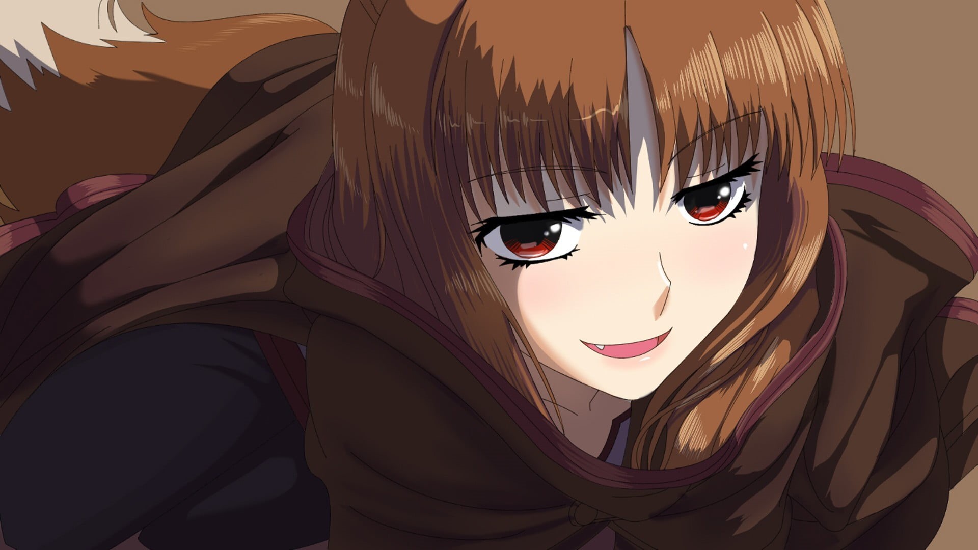 hairstyle, no people, character, indoors, Holo, creativity, wall - building feature, close-up, brown, female, design, disguise, anime, lifestyles, HD Wallpaper