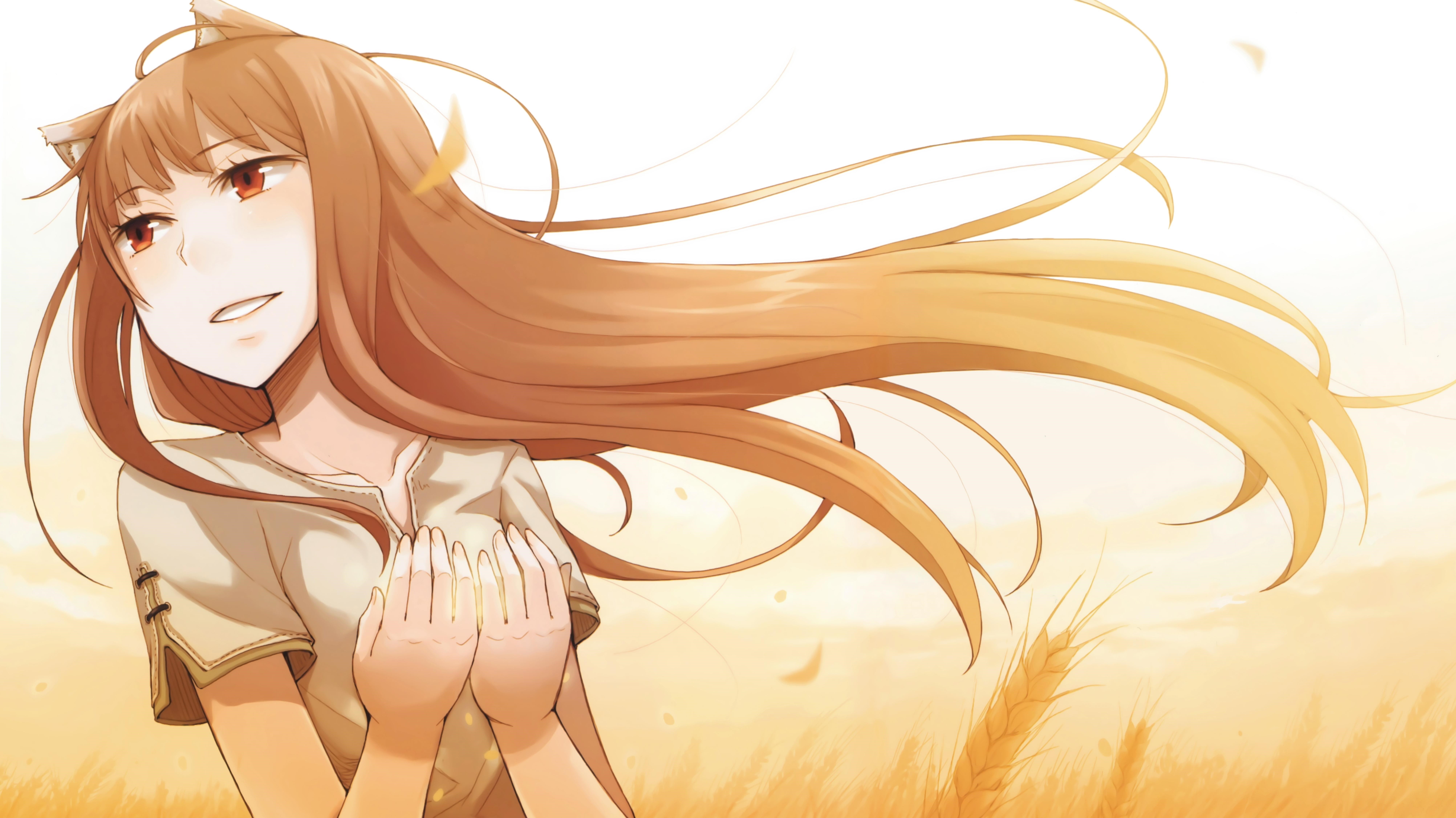 pattern, art and craft, 8K, indoors, studio shot, design, close-up, Holo, representation, Okamimimi, brown, metal, nature, Spice and Wolf, focus on foreground, HD Wallpaper