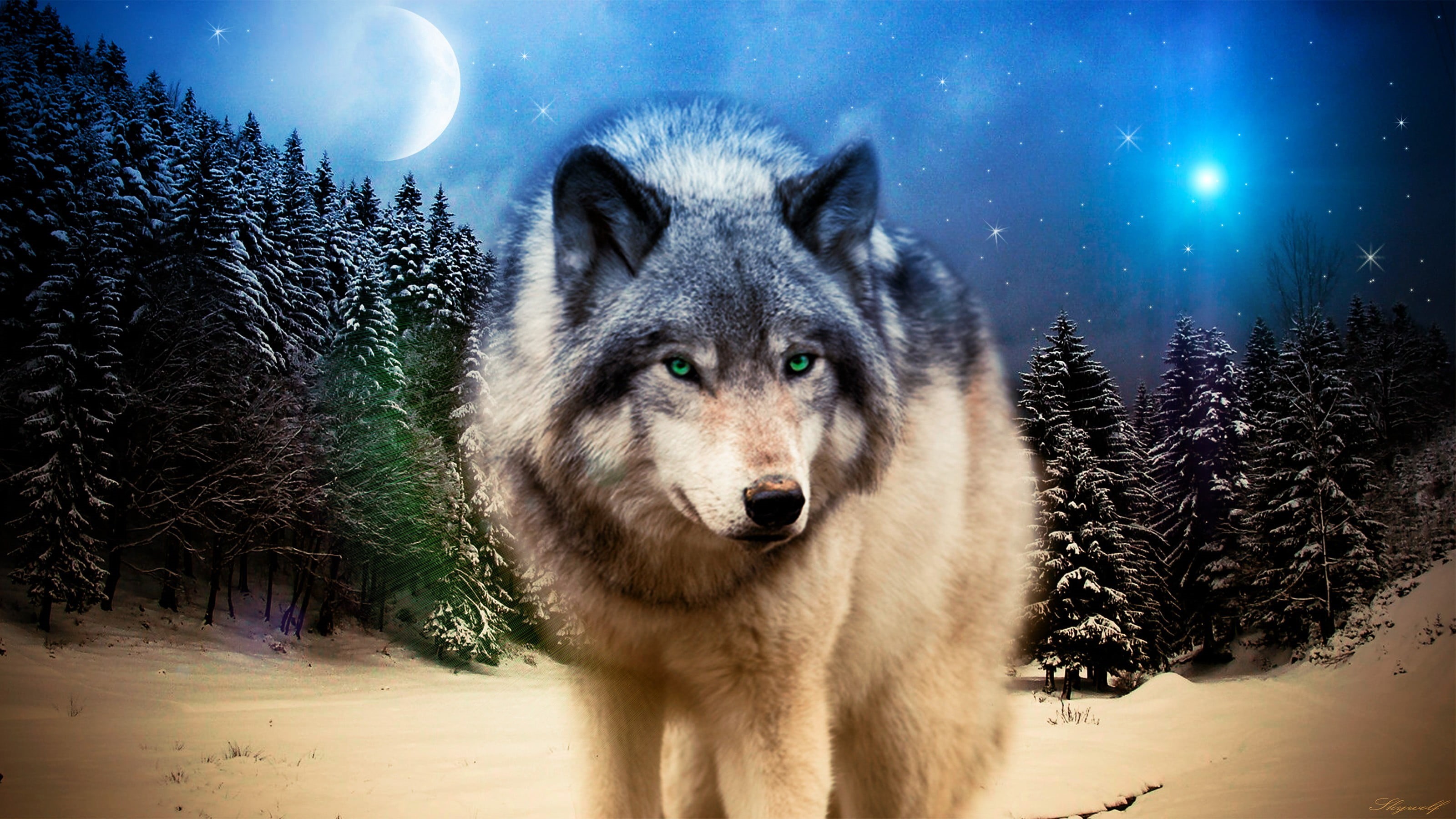 pets, snowing, portrait, animals, wolf, domestic, mammal, tree, vertebrate, cold temperature, brown, no people, painting, wildlife, animal, winter, looking at camera, HD Wallpaper