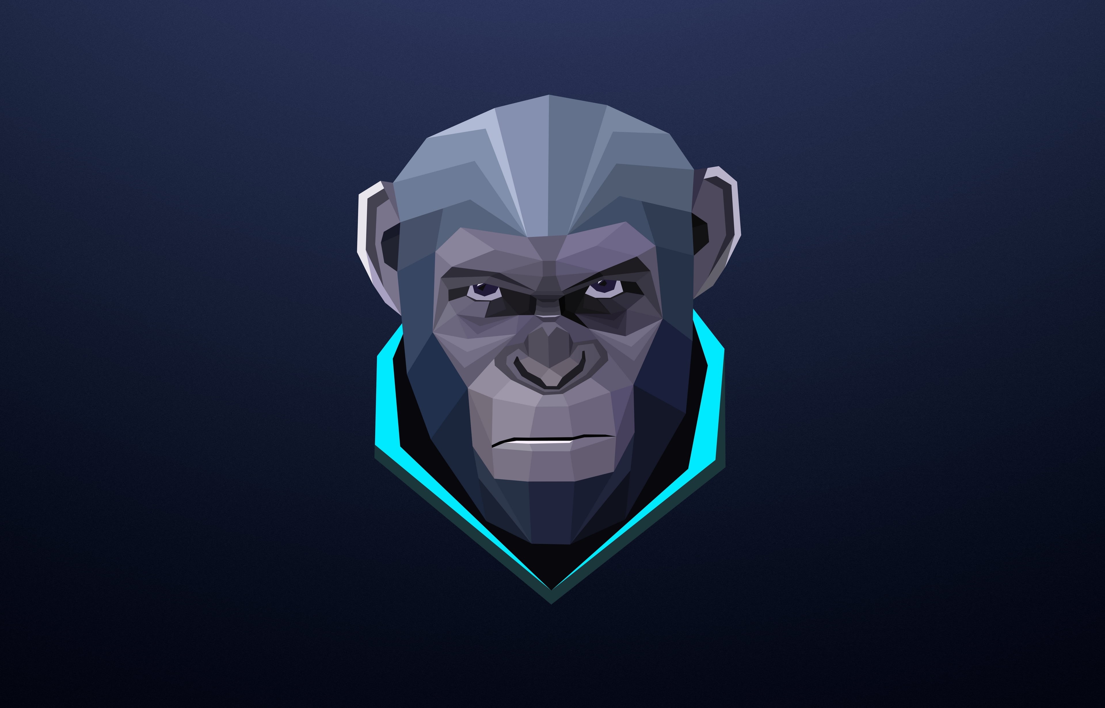 game, byrotek, looking at camera, minimalism, studio shot, close-up, portrait, indoors, cut out, monkey, representation, human face, digital art, HD Wallpaper