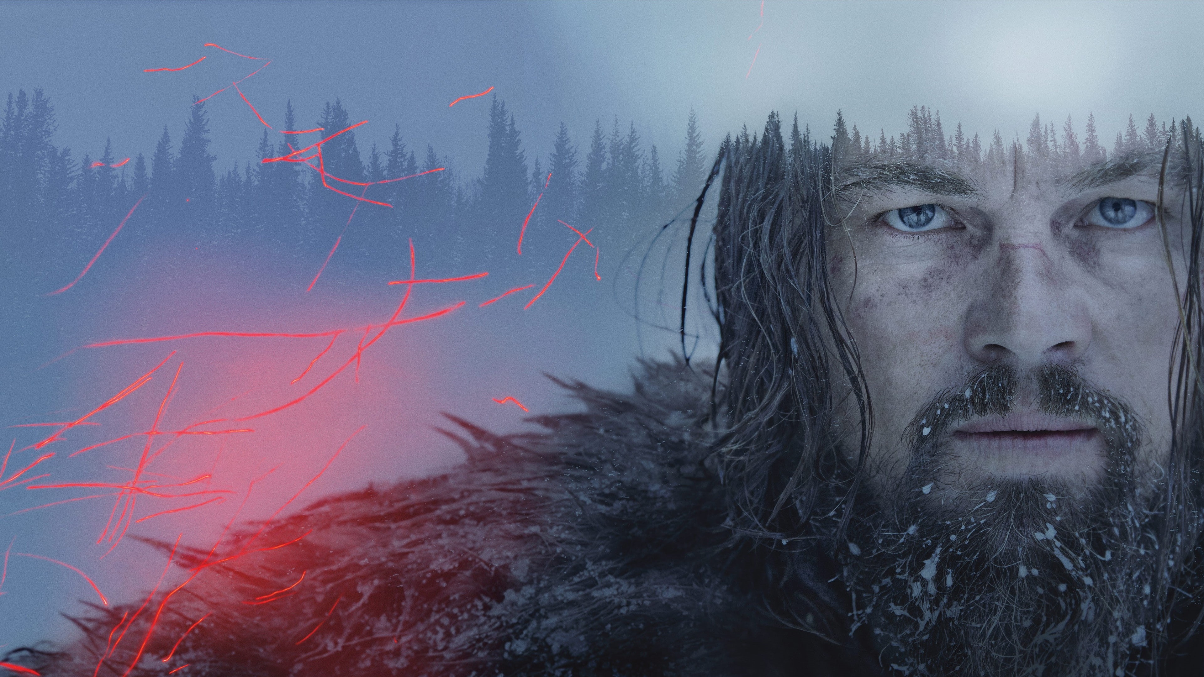 The Revenant, Leonardo DiCaprio, 4K, HD Wallpaper