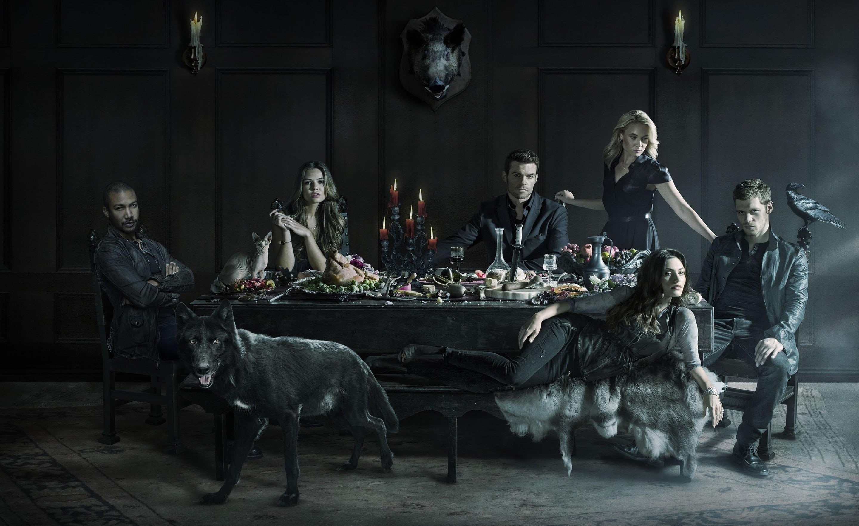 arts culture and entertainment, the original vampire, one animal, group of people, cat, The Originals, standing, women, full length, statue, wolf, raven, HD Wallpaper