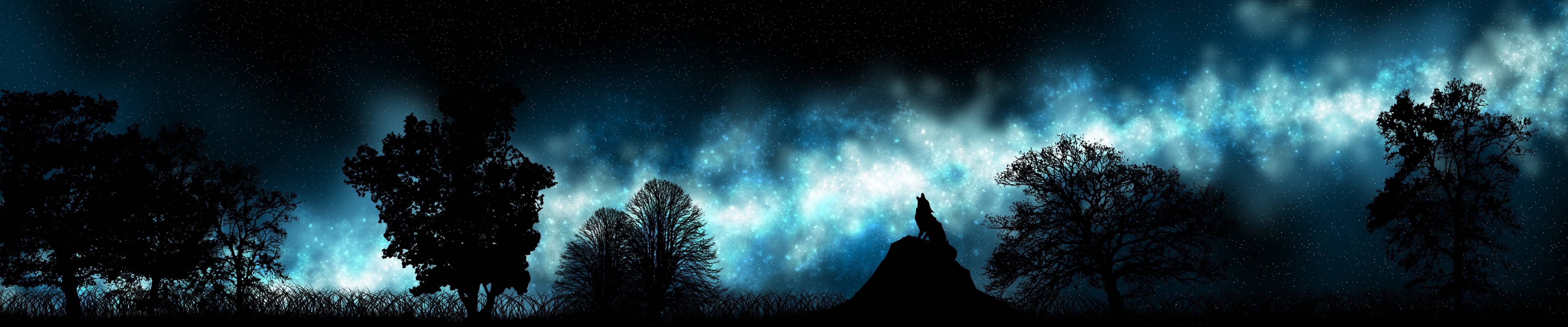 5K, triple, monitor, etoiles, screen, wolf, multiple, loup, stars, multi, HD Wallpaper