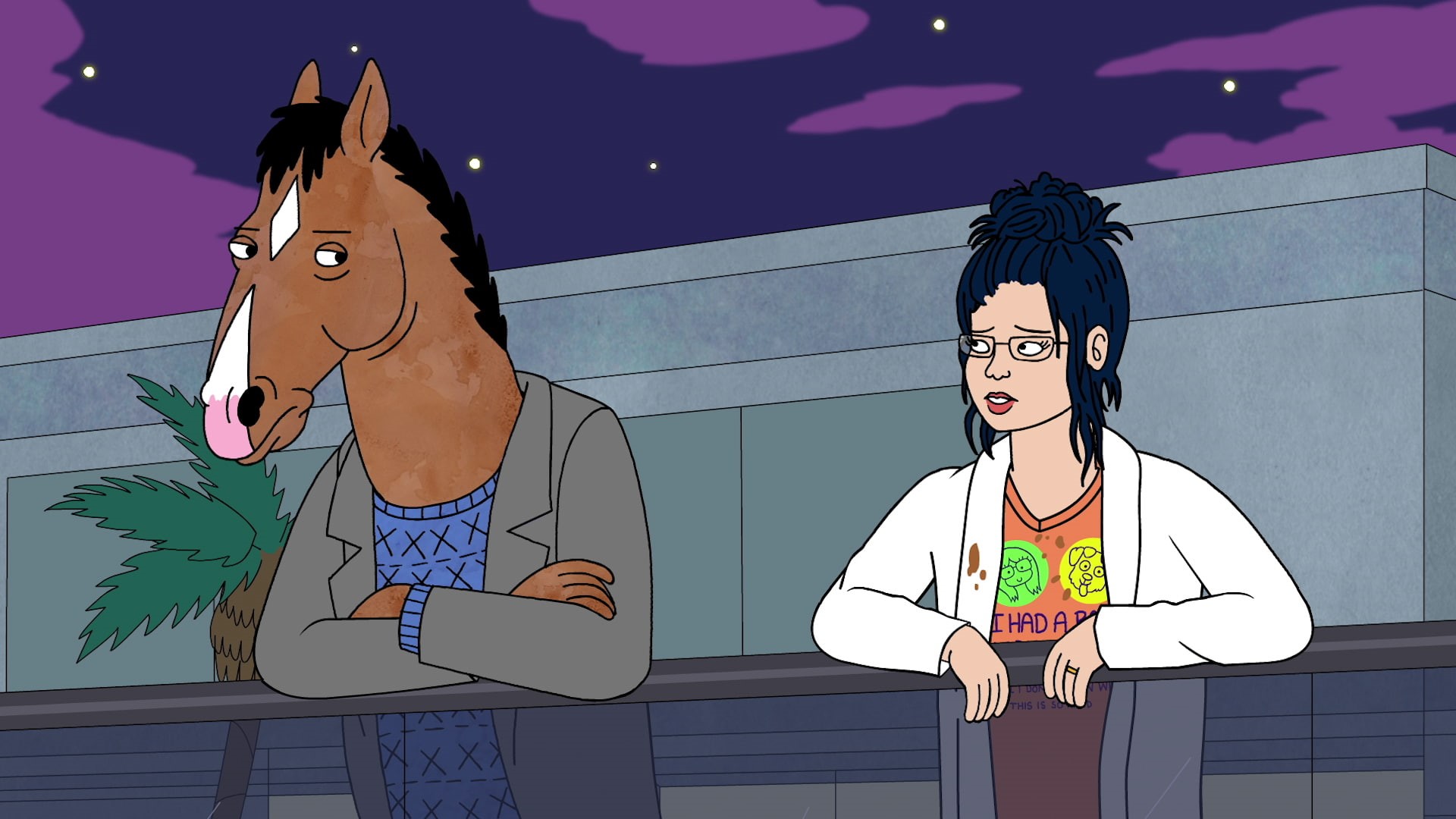 TV Show, 1080P, BoJack Horseman, Diane Nguyen, HD Wallpaper
