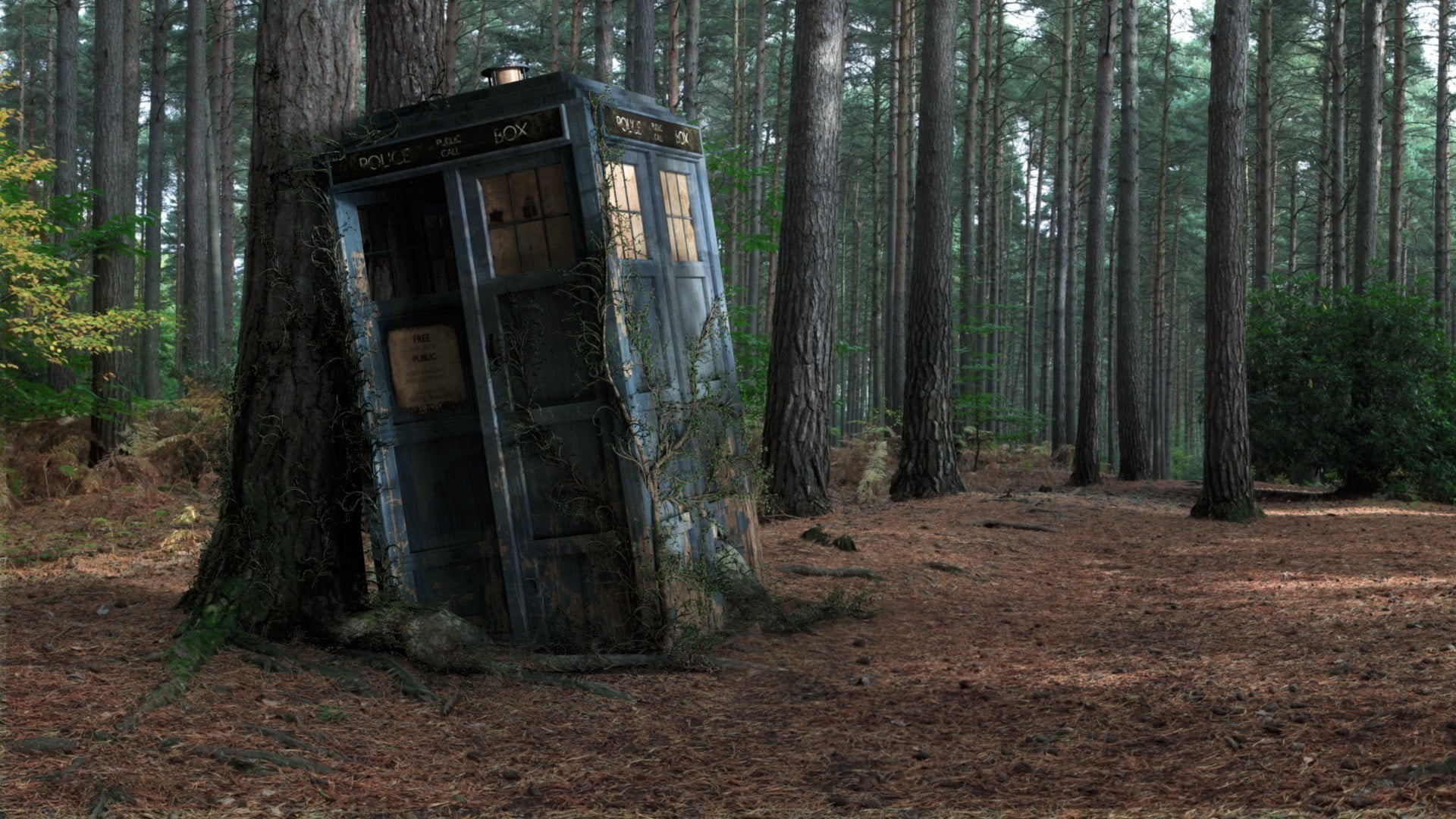 non-urban scene, tranquility, 1080P, TARDIS, architecture, land, wood - material, abandoned, day, woodland, forest, tree, telephone, no people, wood, nature, HD Wallpaper