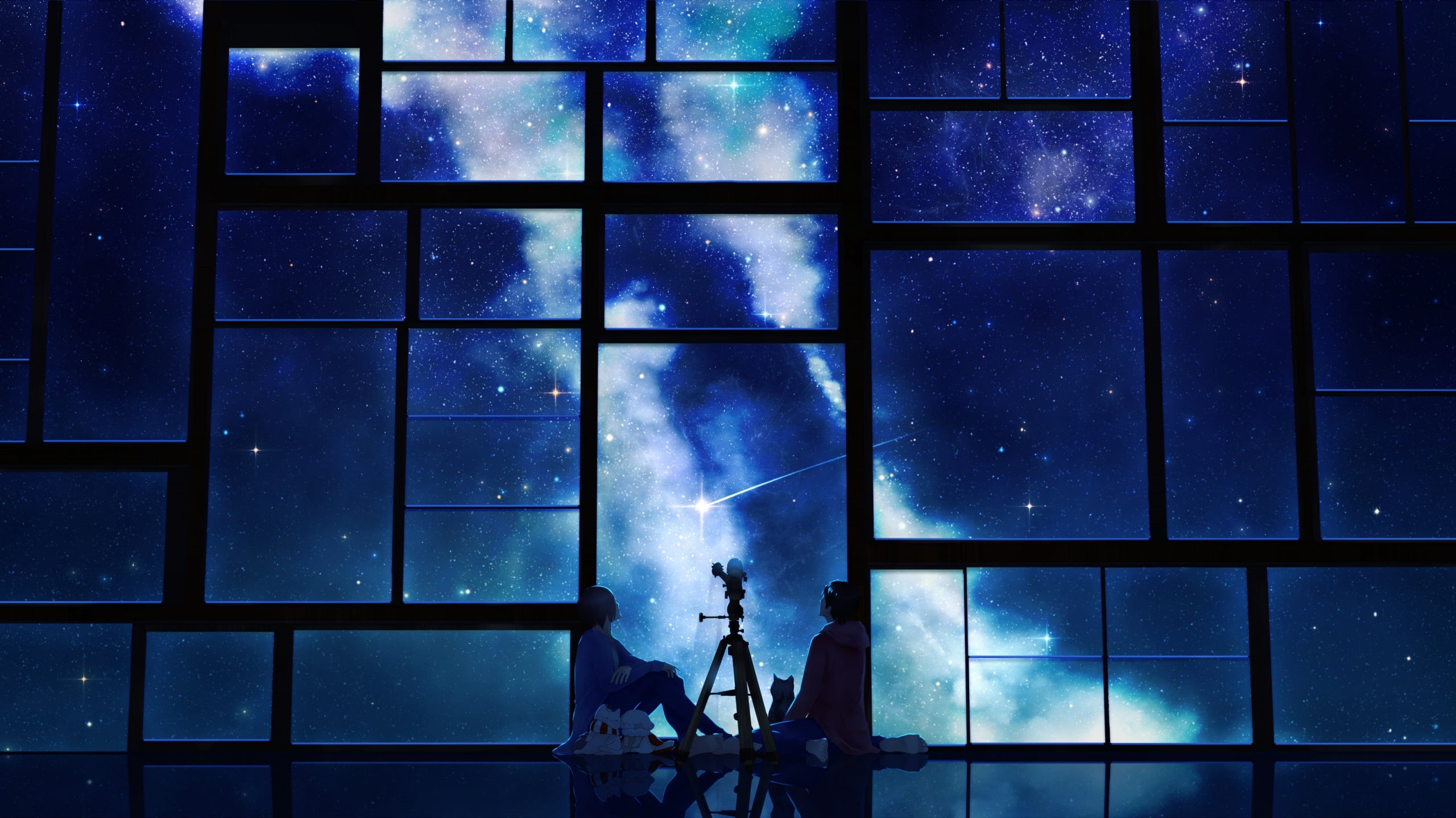 shooting stars, real people, sky, technology, astronomy, one person, built structure, unrecognizable person, building exterior, black, window, space, architecture, HD Wallpaper