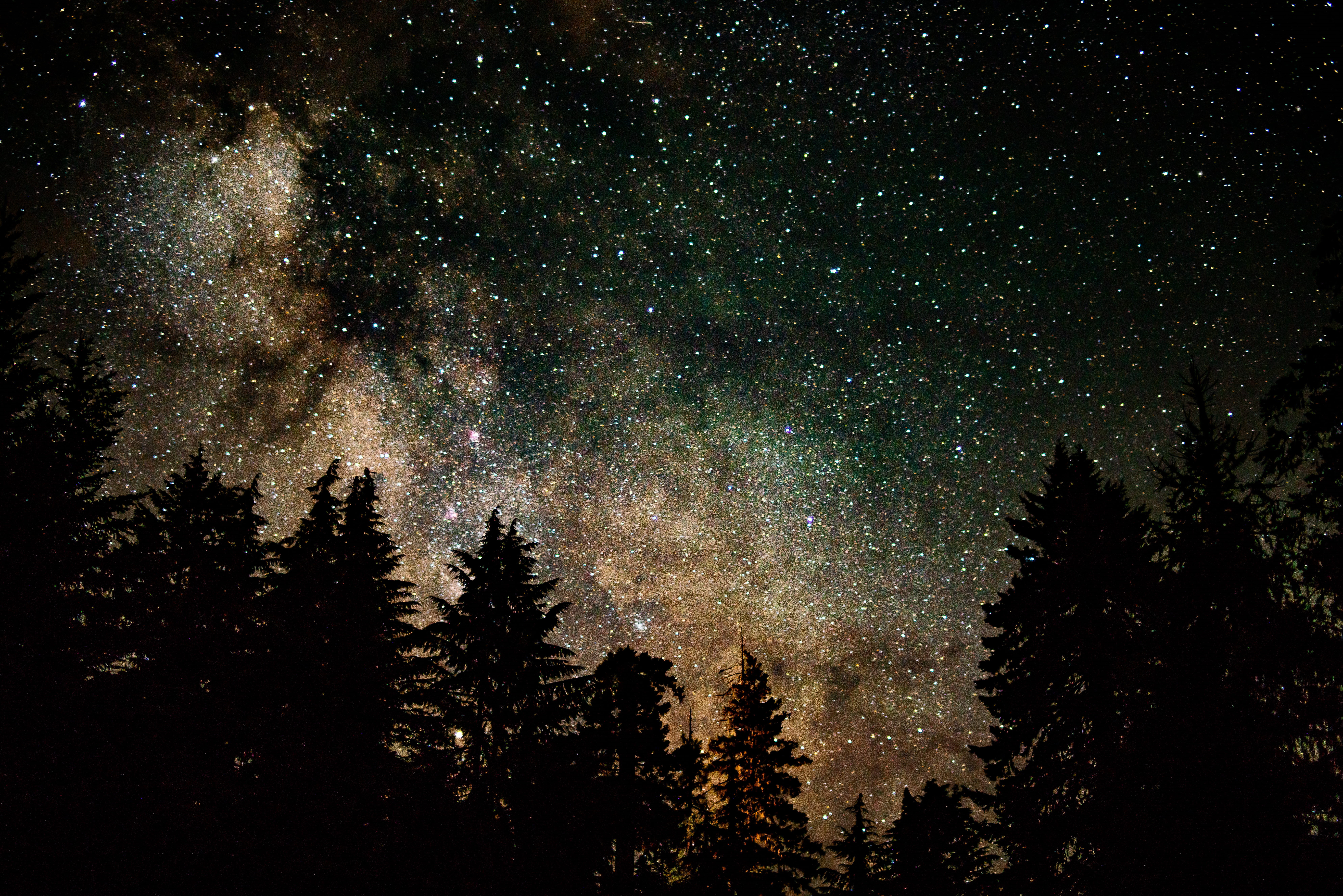 blue, silhouette, forest, space, evergreen, nature, backgrounds, planet - Space, landscape, shiny, star Field, black Color, star, star Shape, late, milky Way, HD Wallpaper