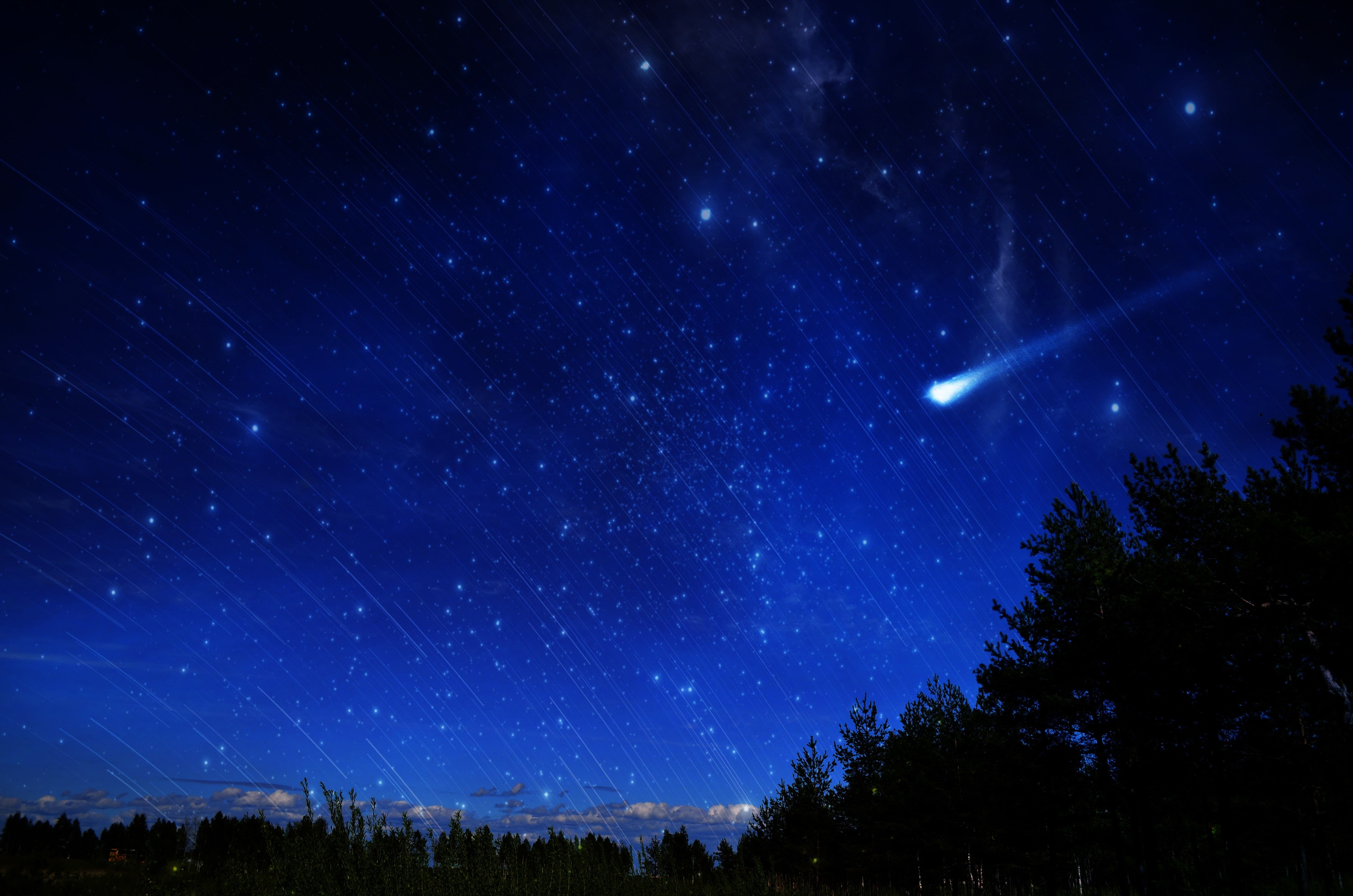 nature, sky, long exposure, low angle view, beauty in nature, tranquility, tree, 4K, astronomy, plant, space, no people, space and astronomy, blue, galaxy, HD Wallpaper