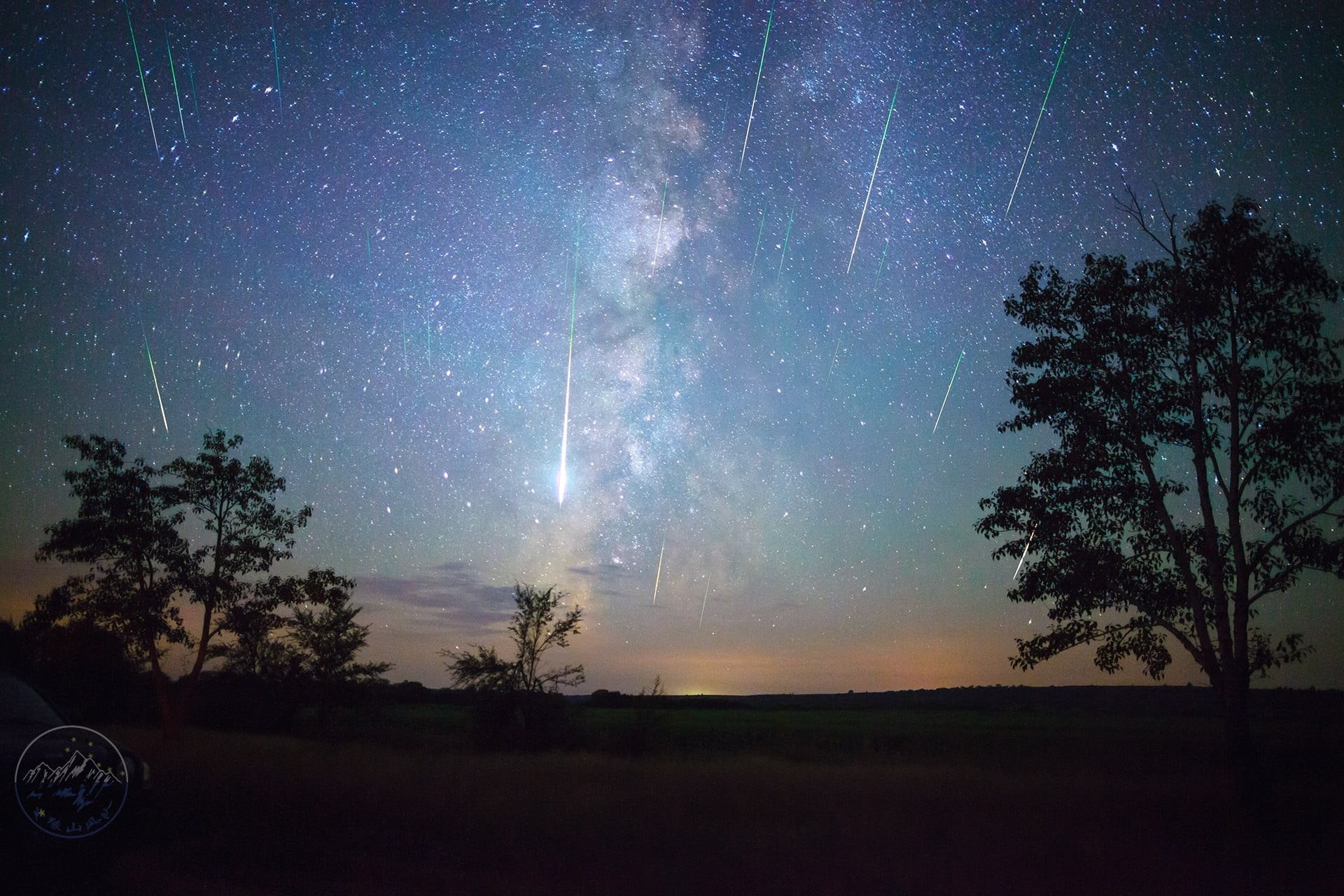 tranquil scene, silhouette, environment, land, night, shooting stars, sky, star - space, 1080P, growth, astronomy, stars, milky way, field, tranquility, HD Wallpaper