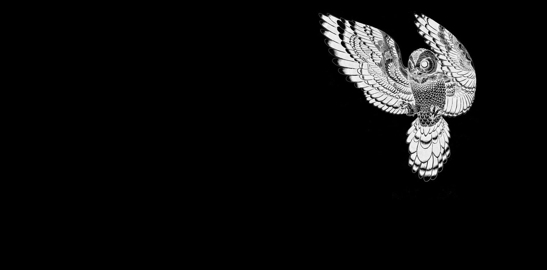 night, indoors, creativity, animal, beauty in nature, black background, pattern, craft, simple background, animal themes, vertebrate, 1080P, HD Wallpaper