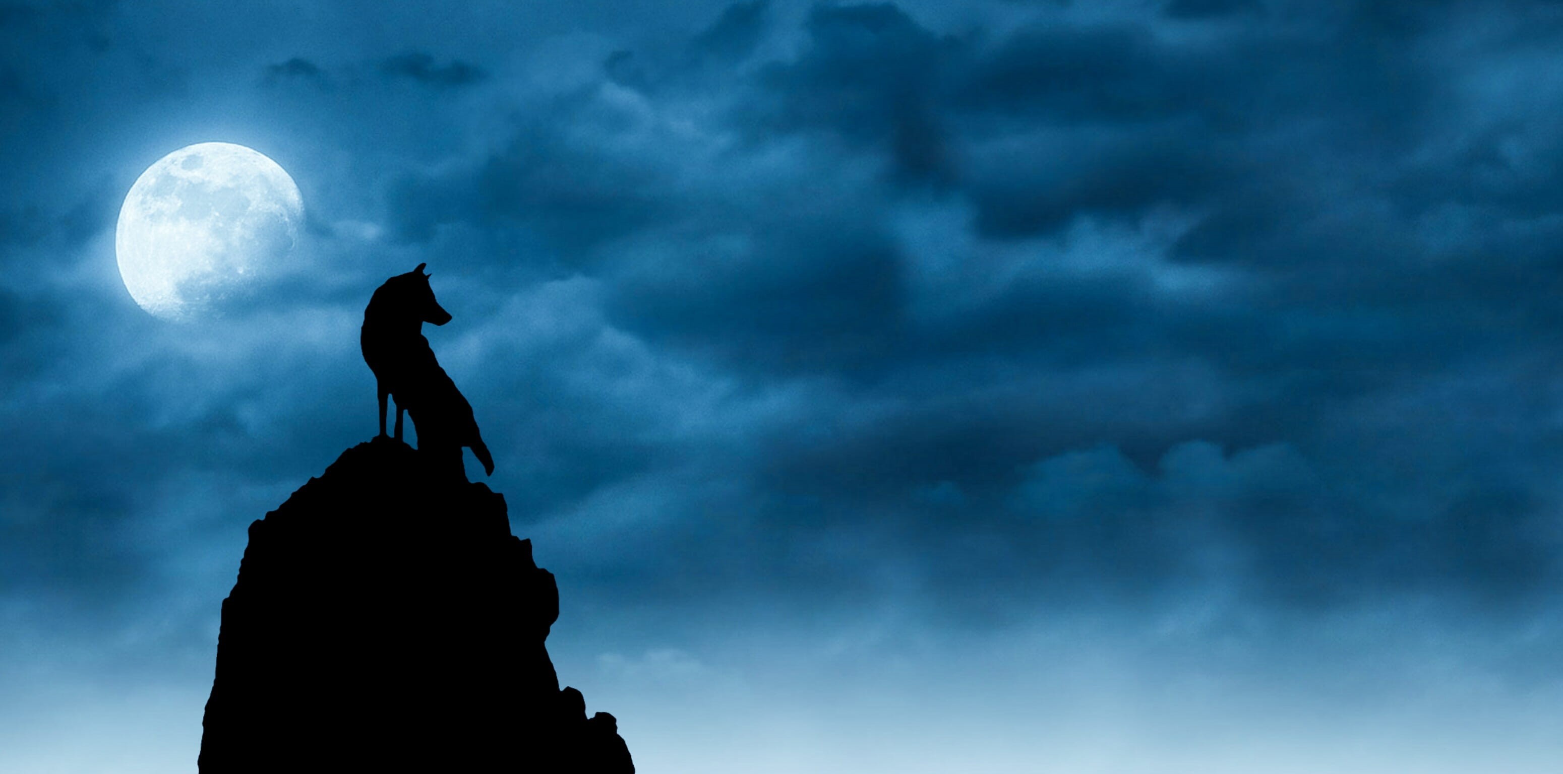 dark, contemplation, wolves, low angle view, landscape, people, storm, cloud, overcast, moon, moonlight, cloud - sky, hope - concept, all saints day, nature, HD Wallpaper