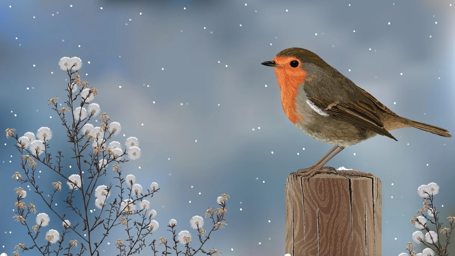 snowing, animals, artwork, winter, bird, art, 1080P, artistic, HD Wallpaper