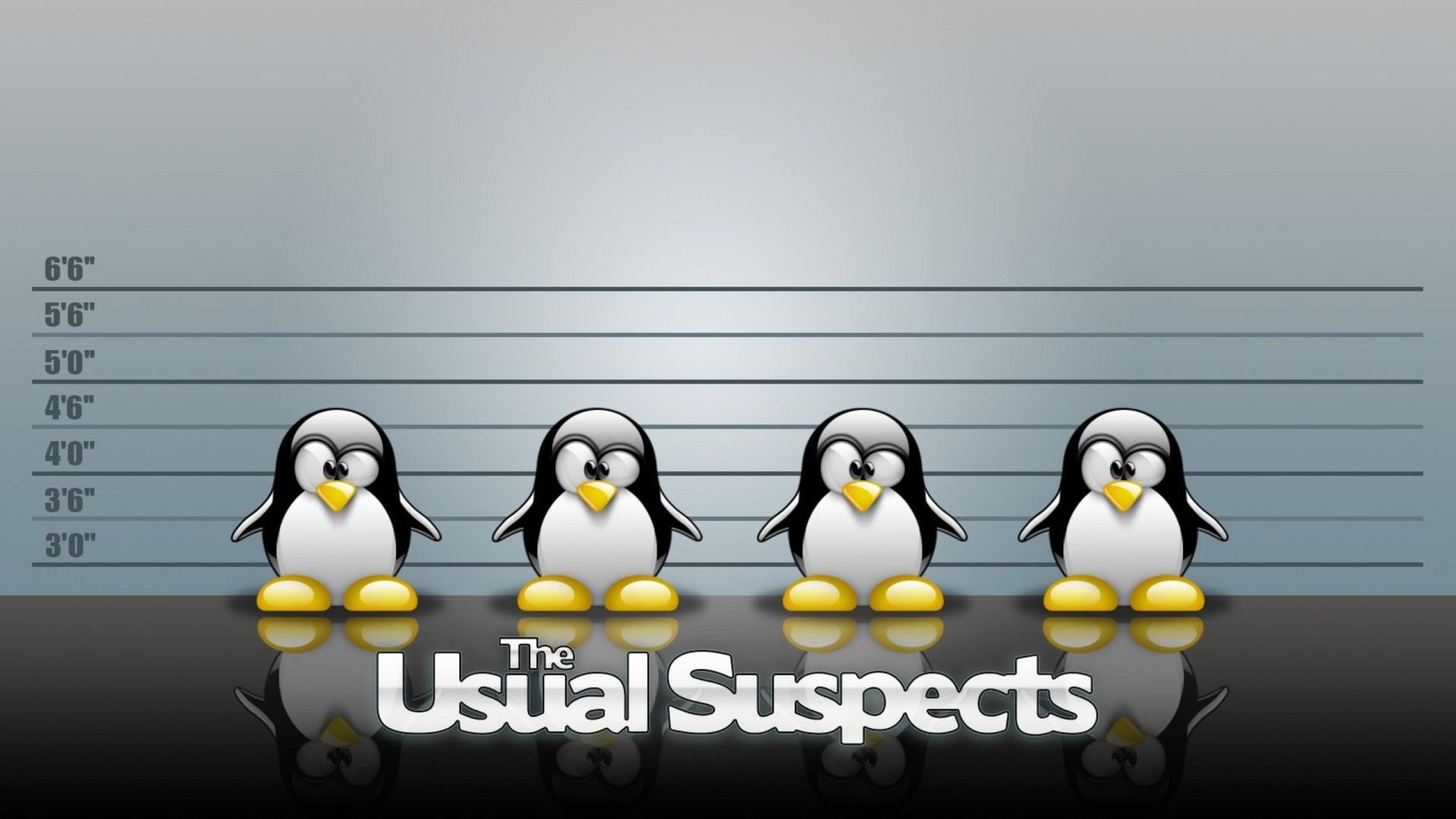 poster, teamwork, cooperation, suspects, usual, gray, indoors, standing out from the crowd, Tux, humor, studio shot, sign, communication, gray background, HD Wallpaper