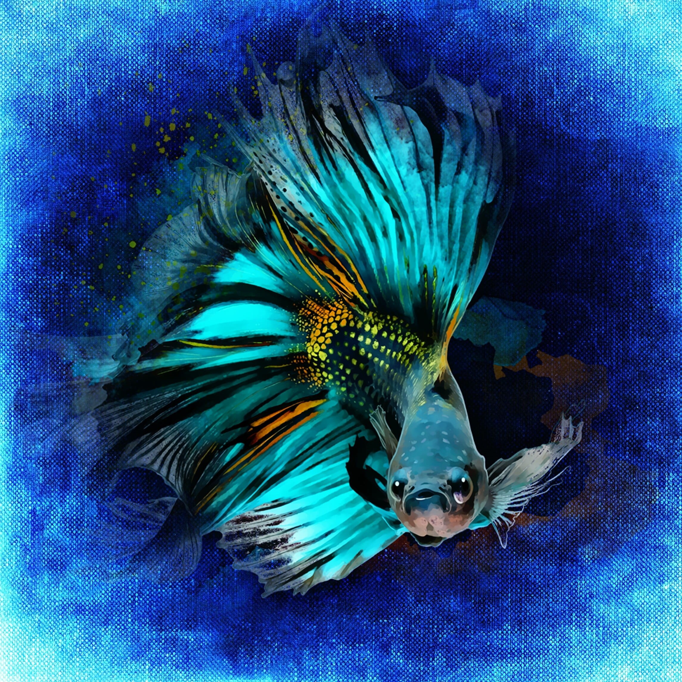multi Colored, no people, nature, animal themes, sea life, underwater, animal, auto post production filter, illustration, koi fish, black, marine, swimming, Phone HD Wallpaper