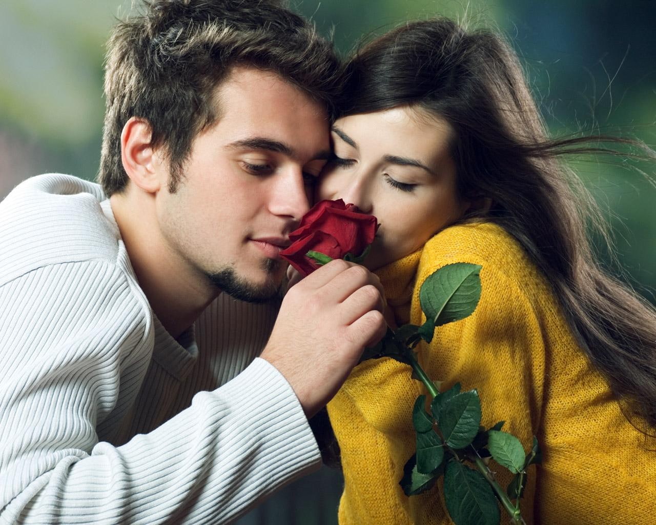 s, men, white, couple, 720P, romance, love, roses, sweater, hugs, HD Wallpaper