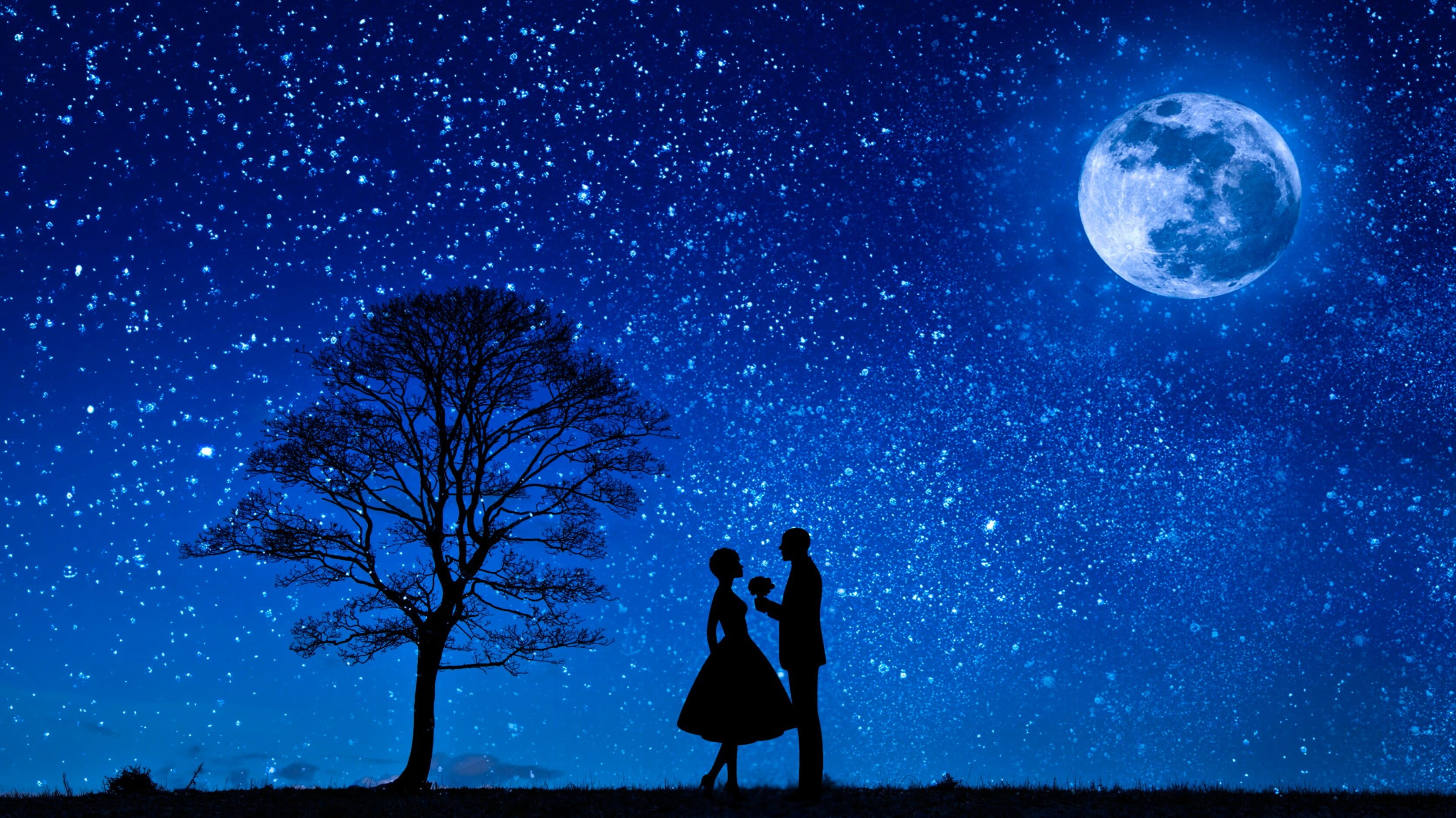 lovers, full length, night, galaxy, engagement, valentines day, flirt, proposal, full moon, man, 2K, wife, people, moonlight, outdoors, romance, flower, HD Wallpaper