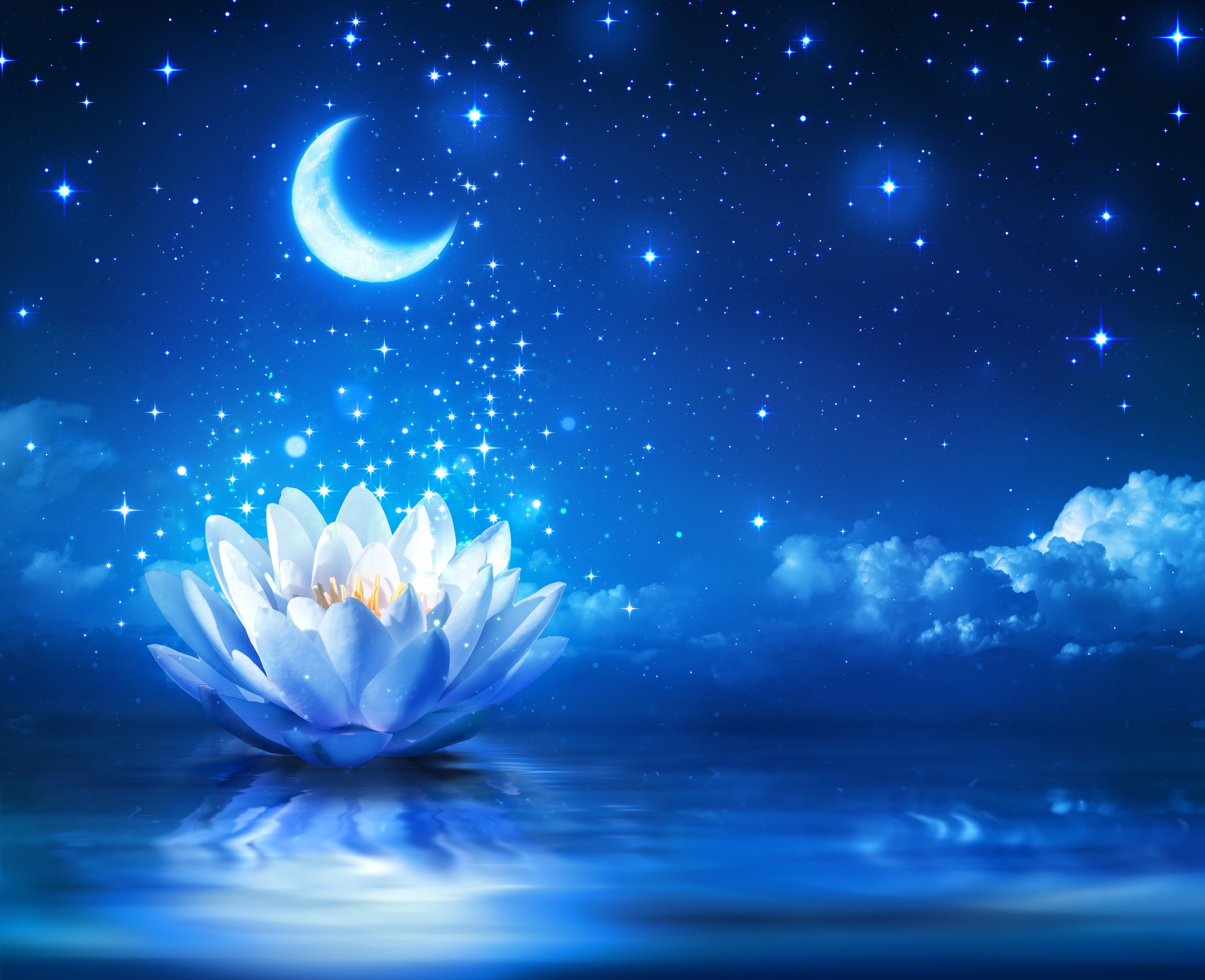 plant, crescent, cloud - sky, star - Space, vulnerability, backgrounds, planet - Space, fragility, flowering plant, glowing, astronomy, nature, no people, HD Wallpaper